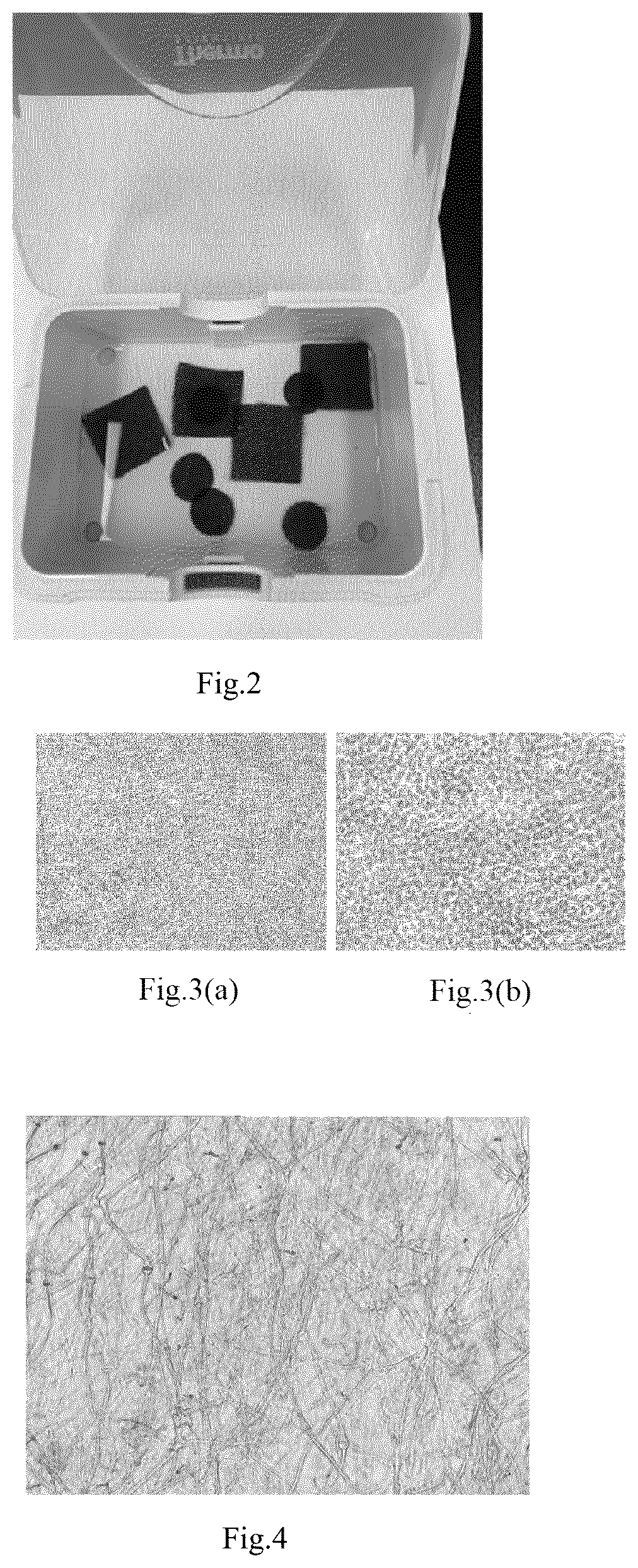 Patent US12448596 Figure 2 – Scaffold for cell culture and manufacturing method thereof