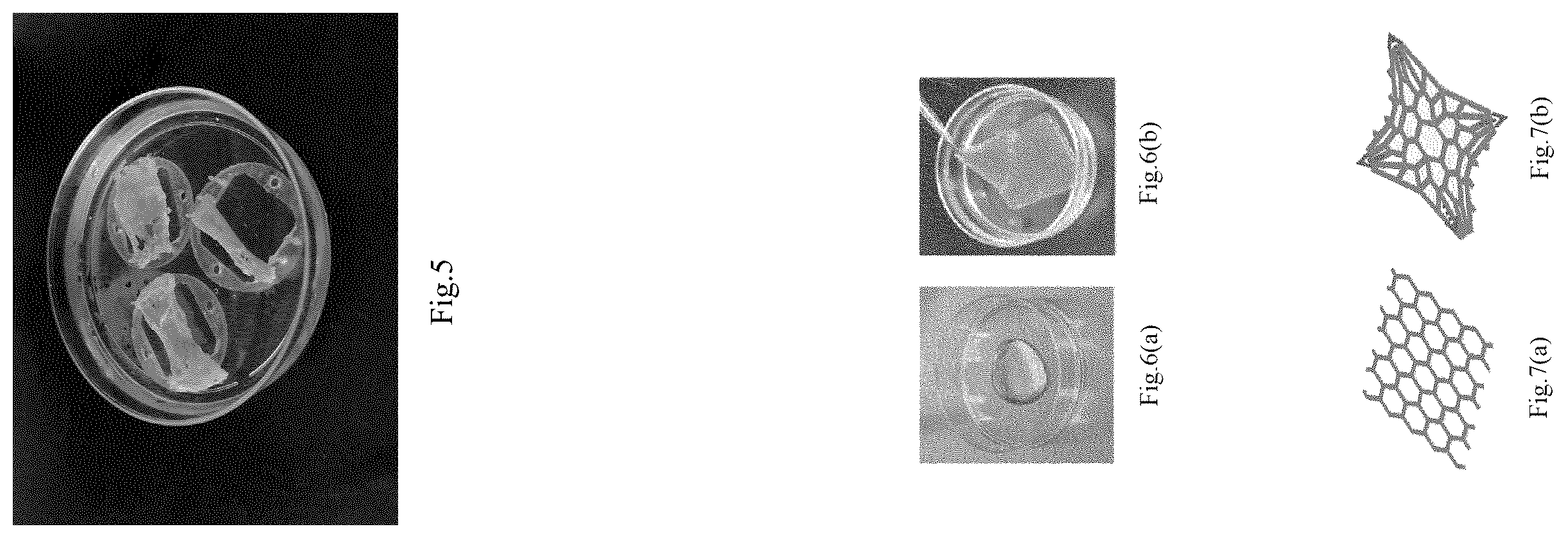 Patent US12448596 Figure 3 – Scaffold for cell culture and manufacturing method thereof
