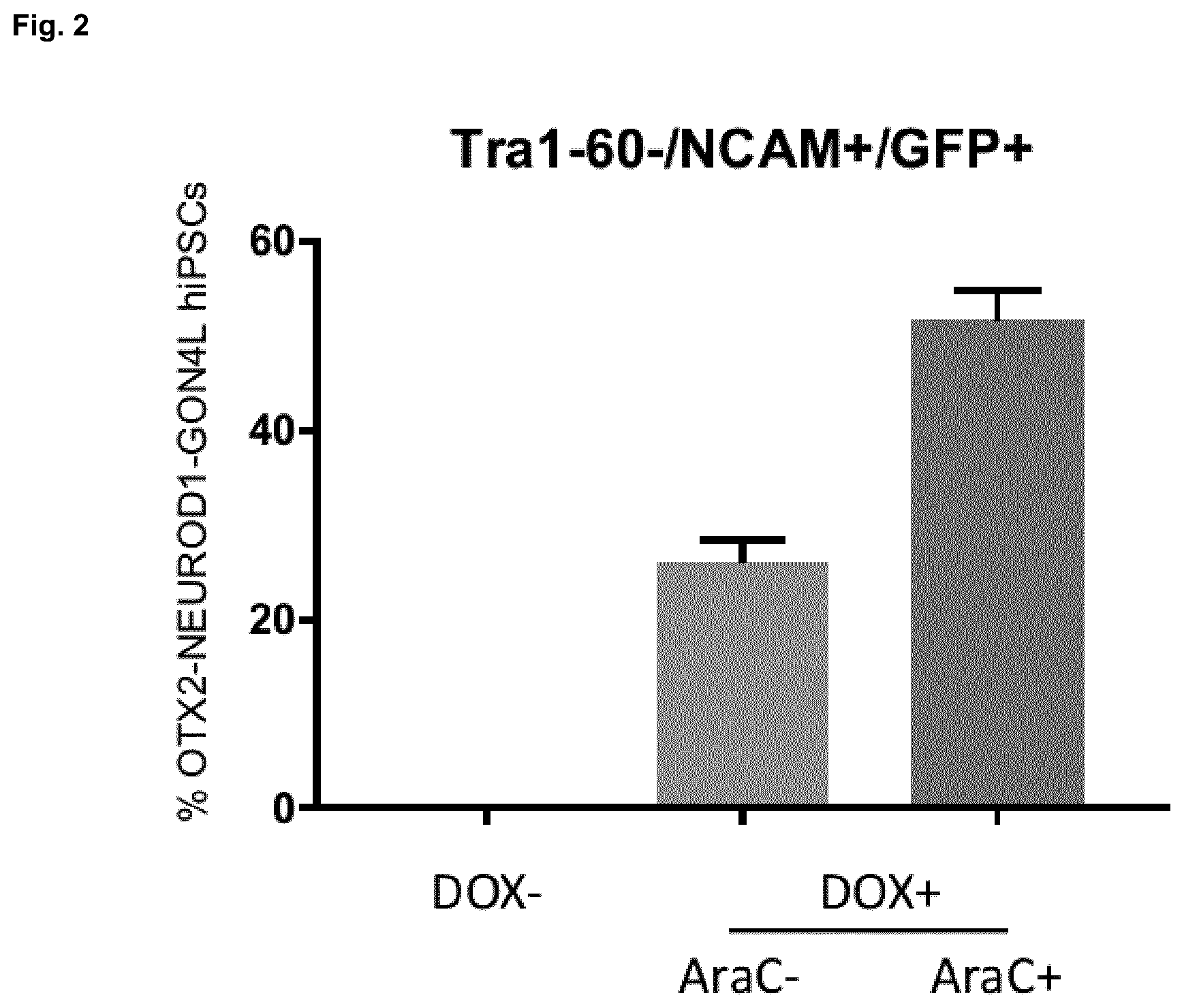 Patent US12448602 Figure 2 – Induced photoreceptor cells and methods for their production
