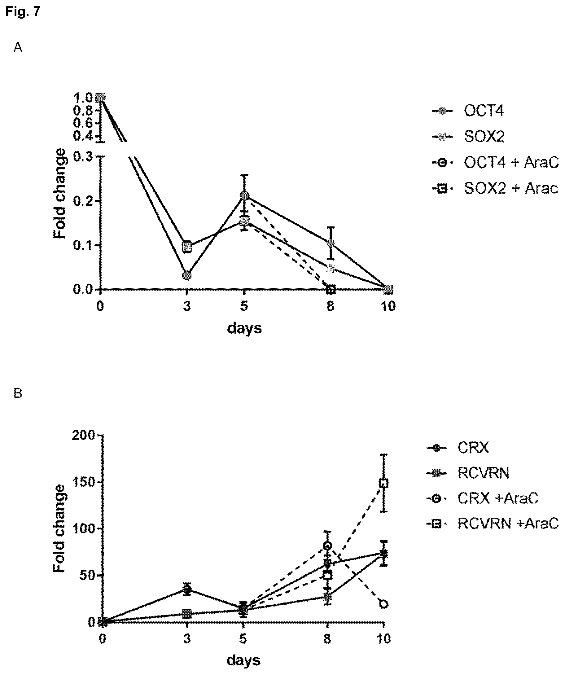 Patent US12448602 Figure 7 – Induced photoreceptor cells and methods for their production
