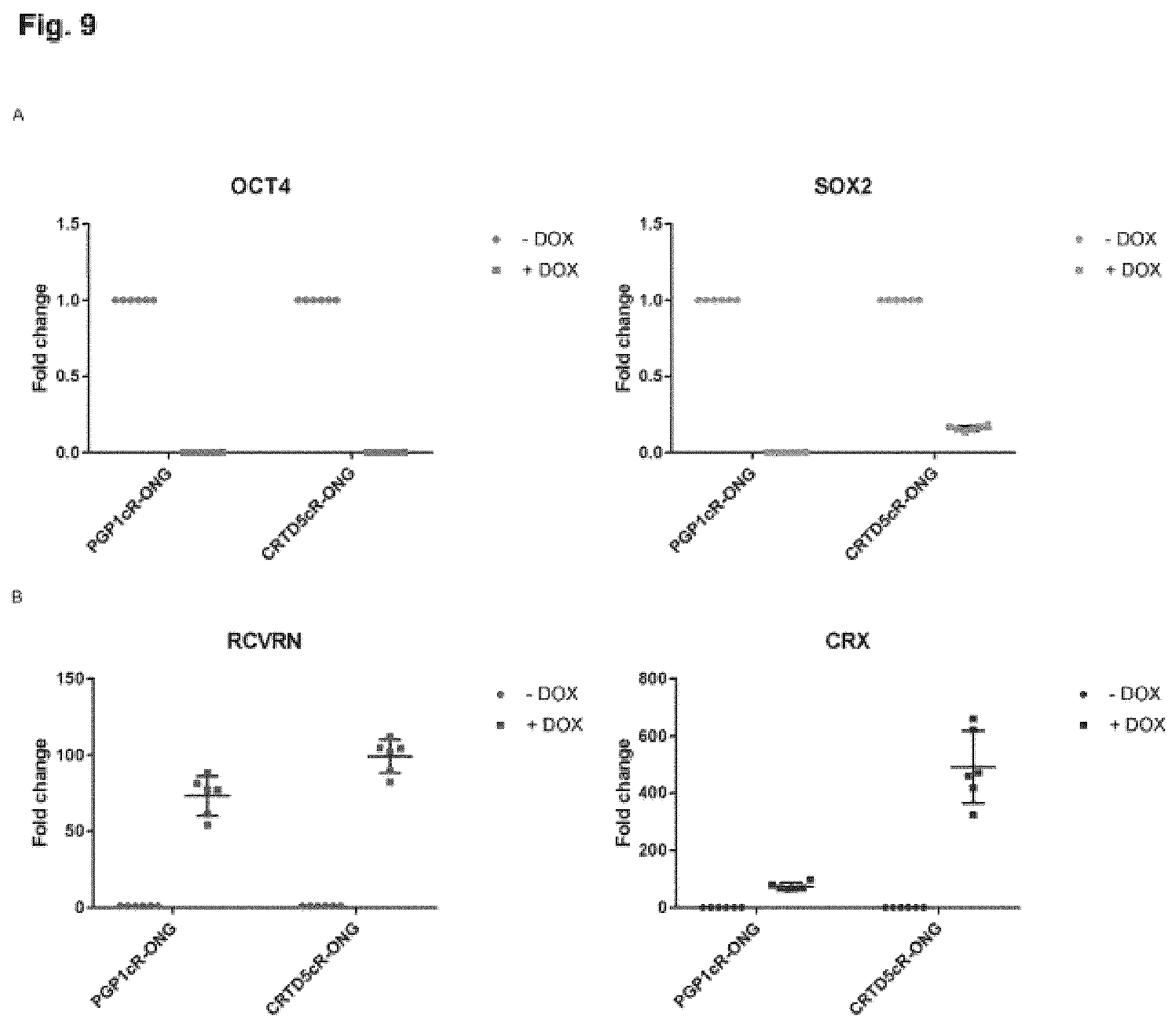 Patent US12448602 Figure 9 – Induced photoreceptor cells and methods for their production