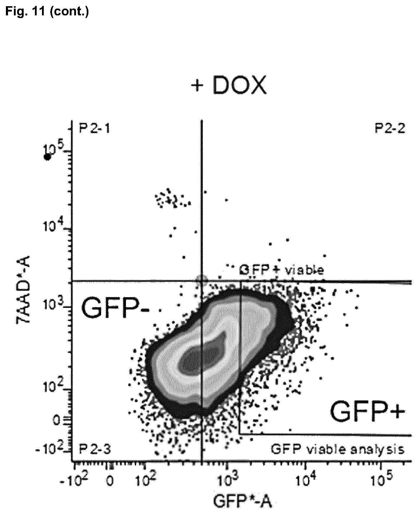 Patent US12448602 Figure 12 – Induced photoreceptor cells and methods for their production