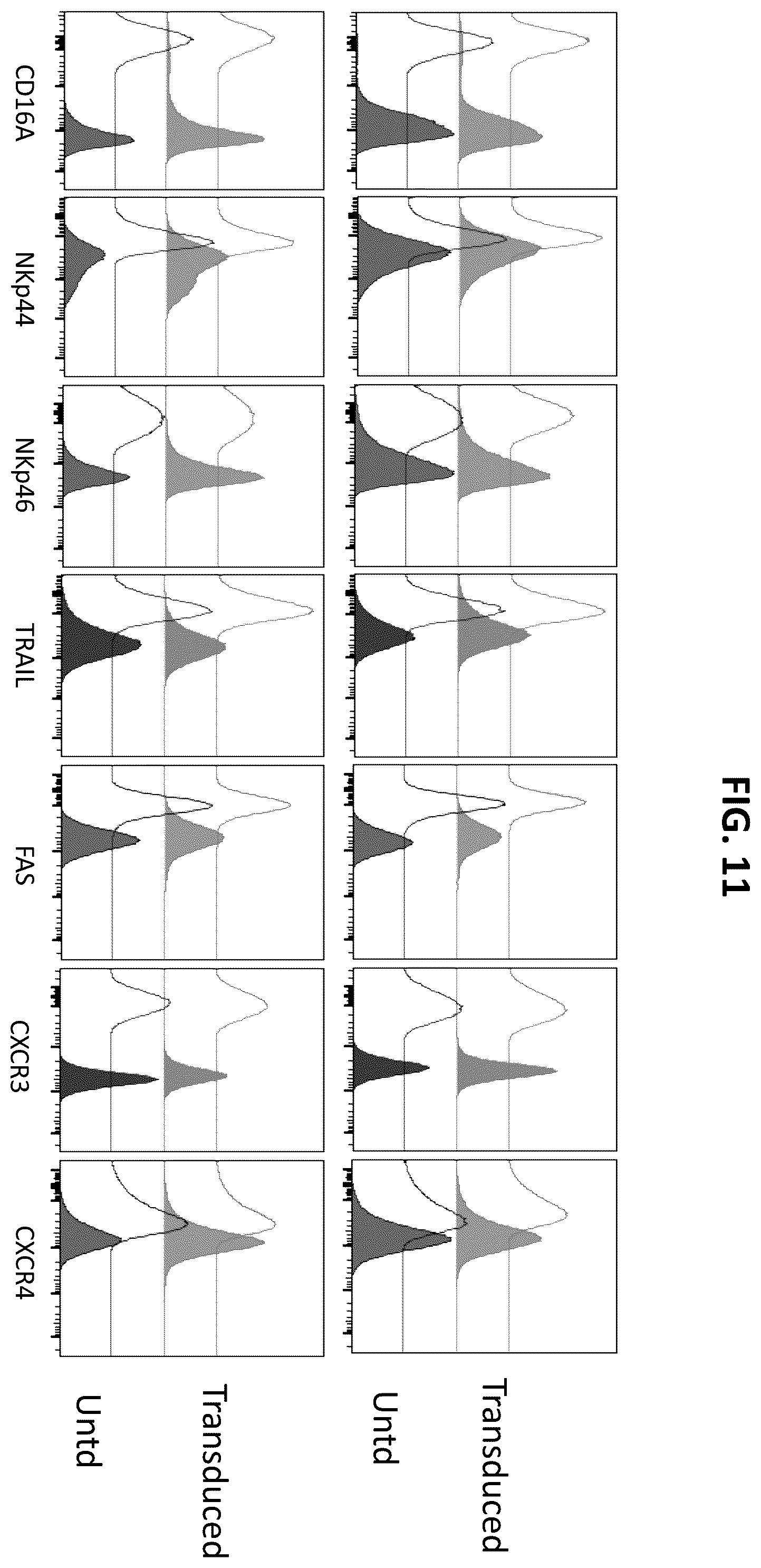 Patent US12448604 Figure 12 – Methods of producing modified natural killer cells and methods of use