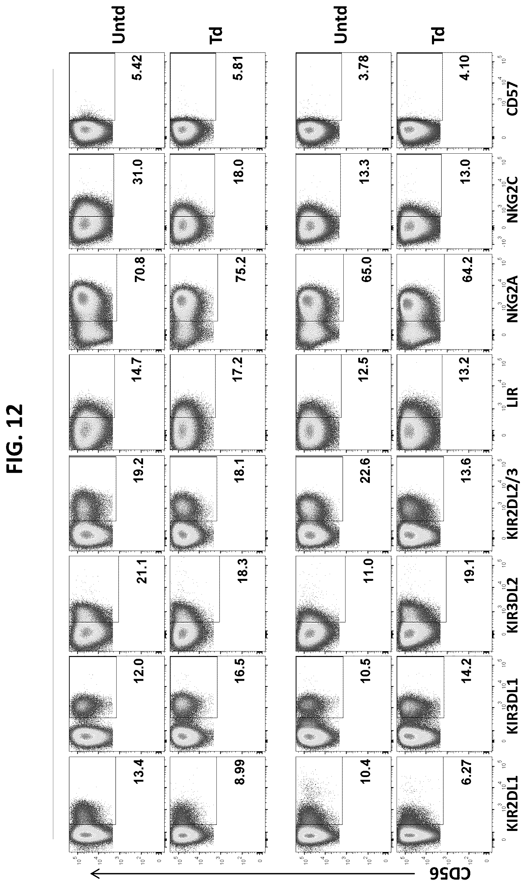 Patent US12448604 Figure 13 – Methods of producing modified natural killer cells and methods of use