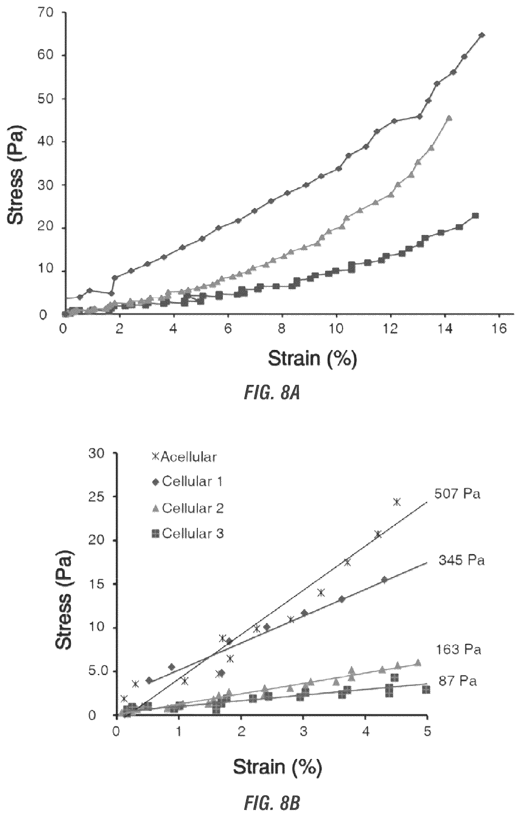 Patent US12448605 Figure 14 – Encapsulation and cardiac differentiation of hiPSCs in 3D PEG-fibrinogen hydrogels