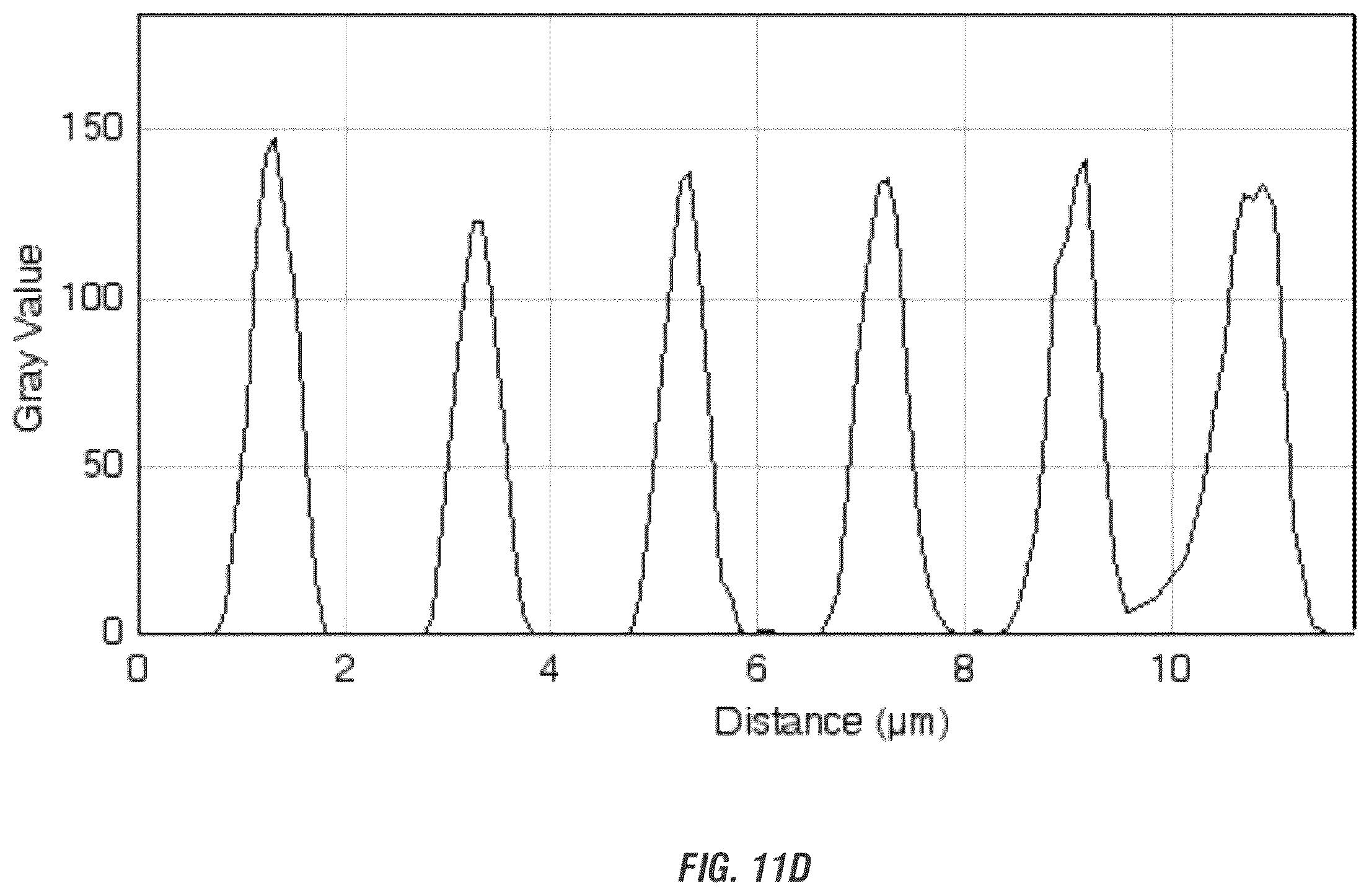 Patent US12448605 Figure 19 – Encapsulation and cardiac differentiation of hiPSCs in 3D PEG-fibrinogen hydrogels