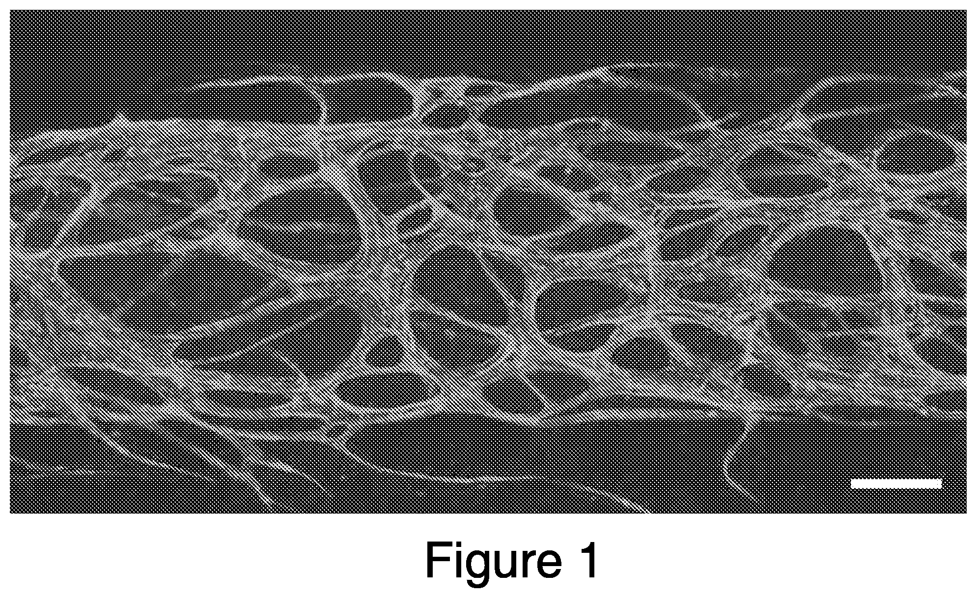 Patent US12448607 Figure 1 – Systems and methods for multilane vasculature