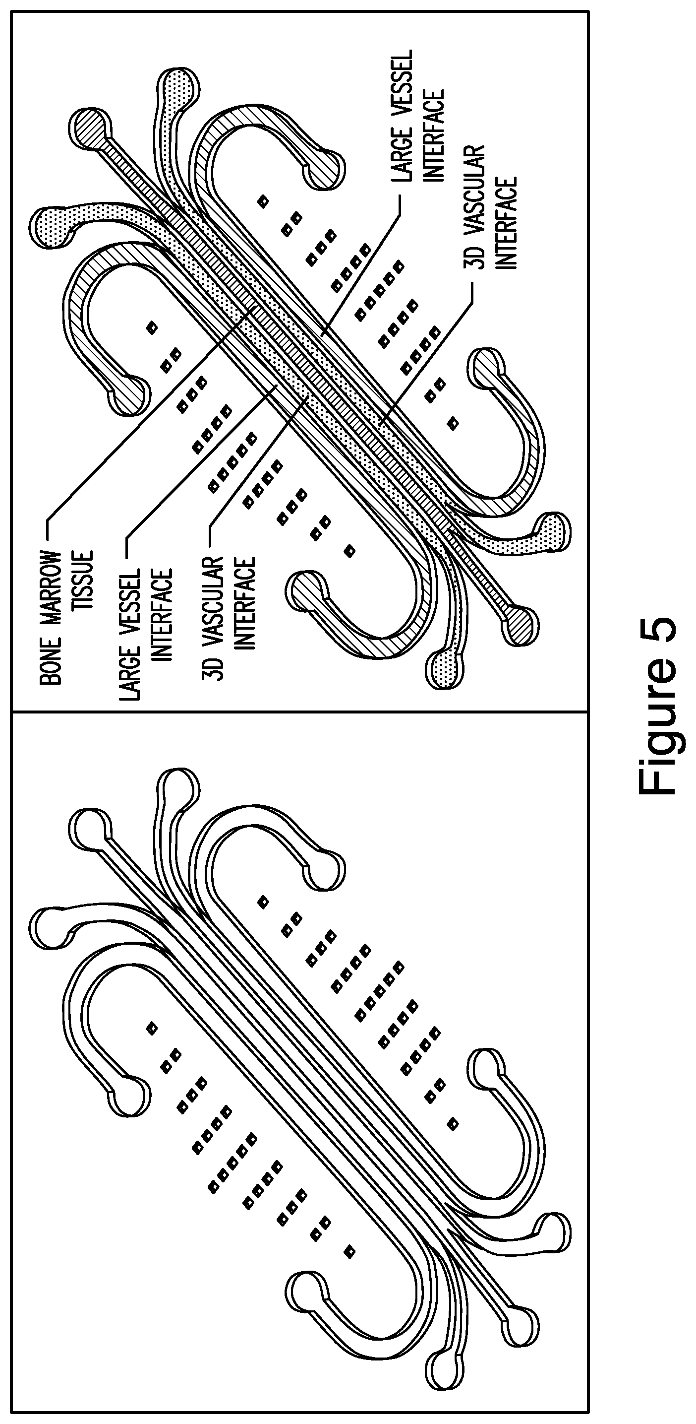 Patent US12448607 Figure 5 – Systems and methods for multilane vasculature