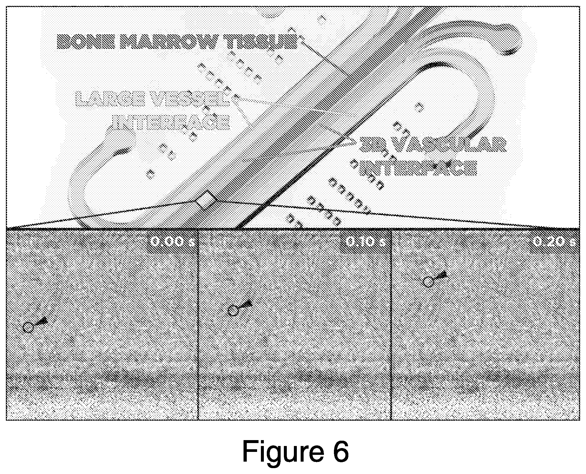 Patent US12448607 Figure 6 – Systems and methods for multilane vasculature