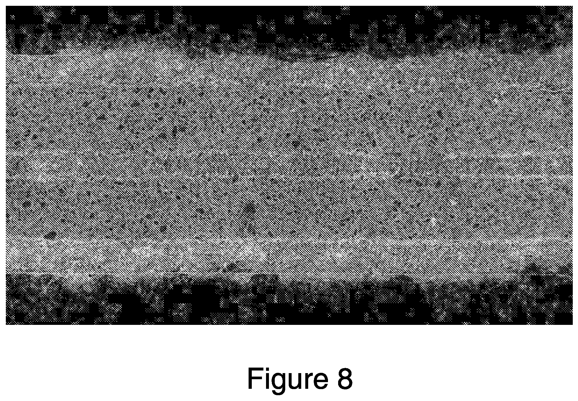Patent US12448607 Figure 8 – Systems and methods for multilane vasculature