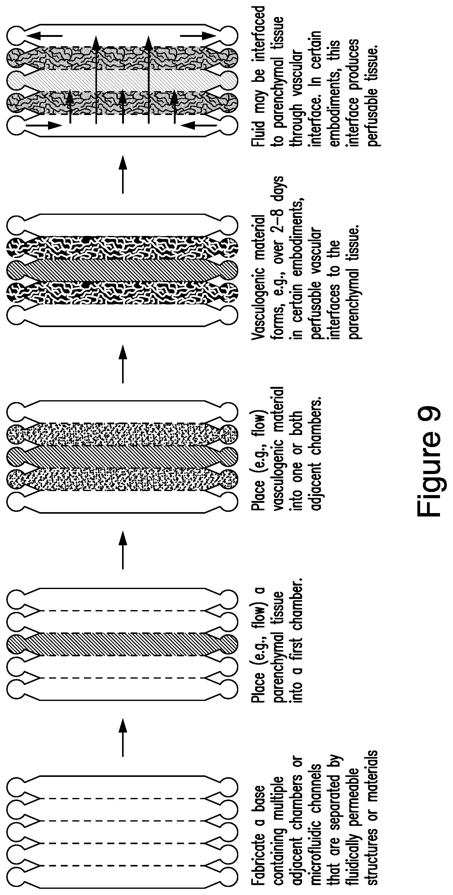 Patent US12448607 Figure 9 – Systems and methods for multilane vasculature