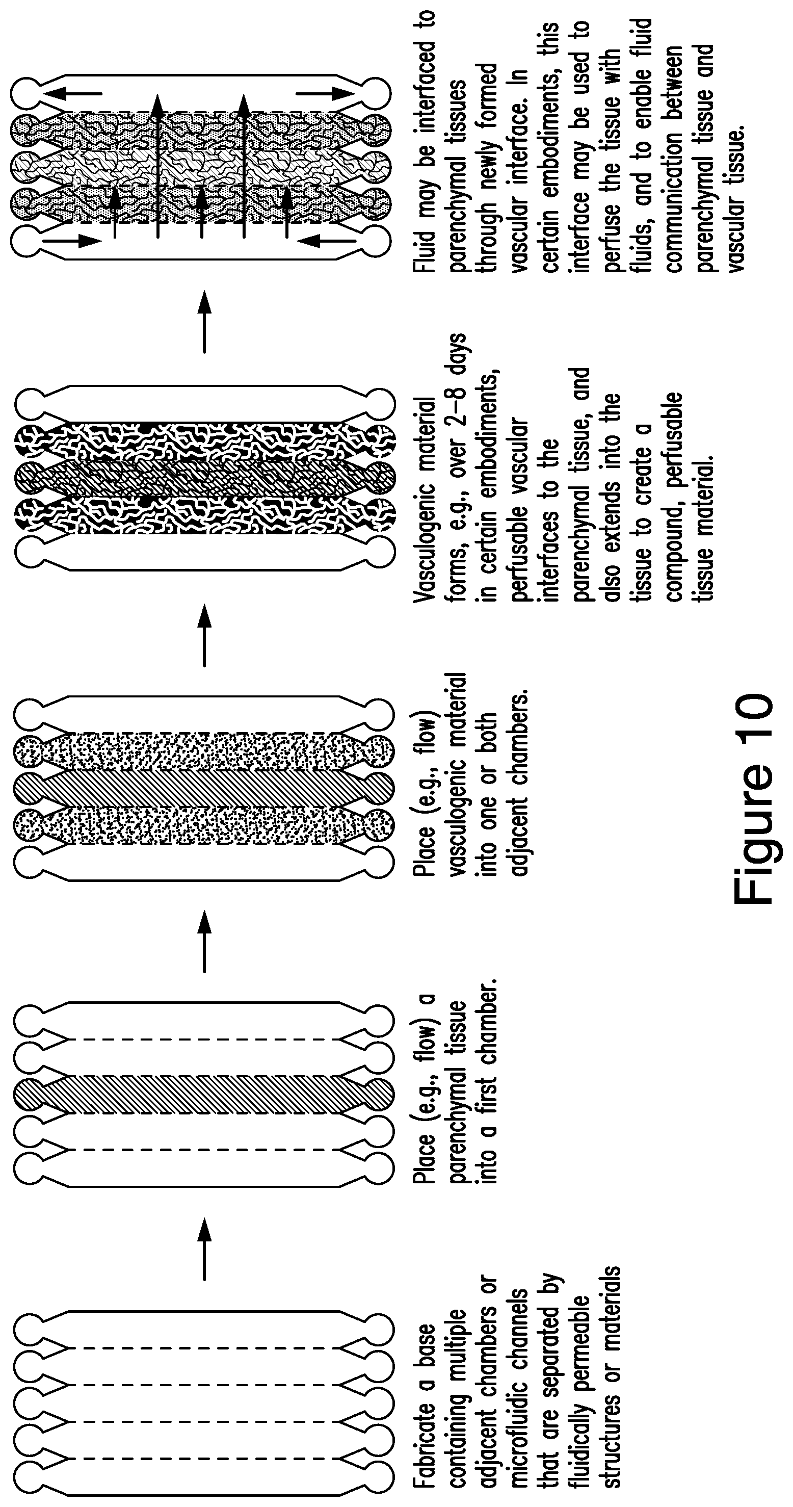 Patent US12448607 Figure 10 – Systems and methods for multilane vasculature
