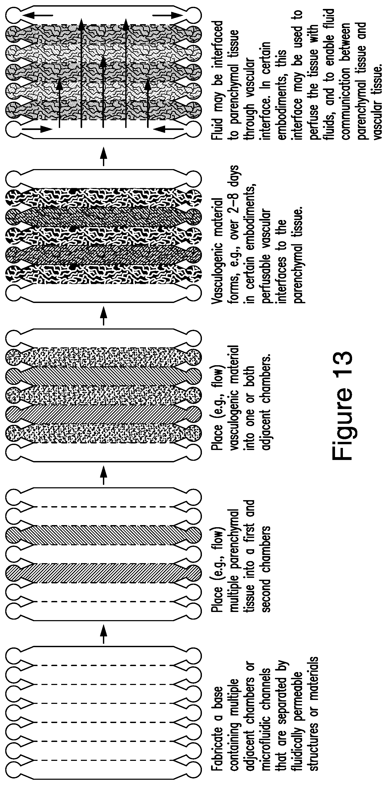Patent US12448607 Figure 13 – Systems and methods for multilane vasculature