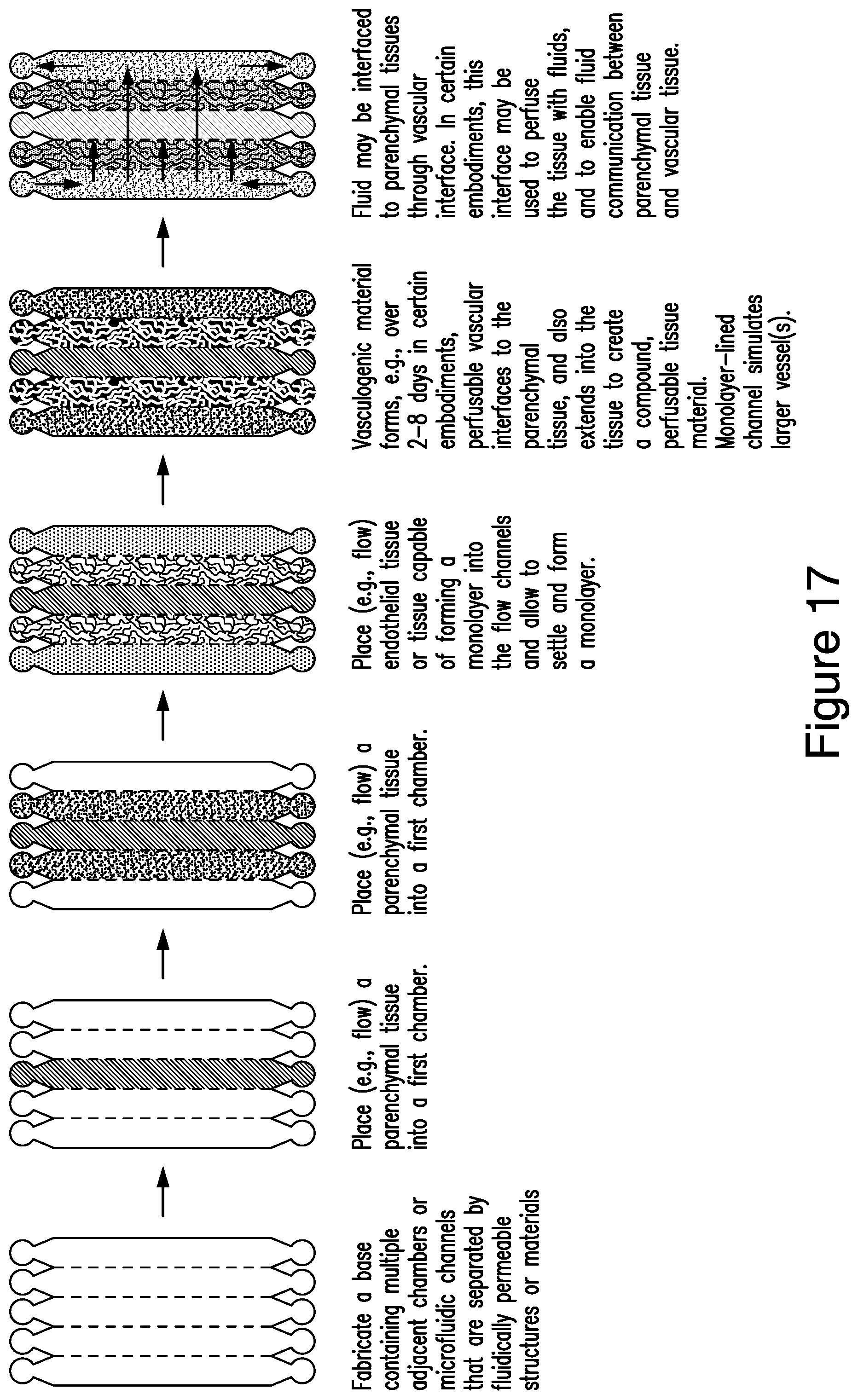 Patent US12448607 Figure 17 – Systems and methods for multilane vasculature