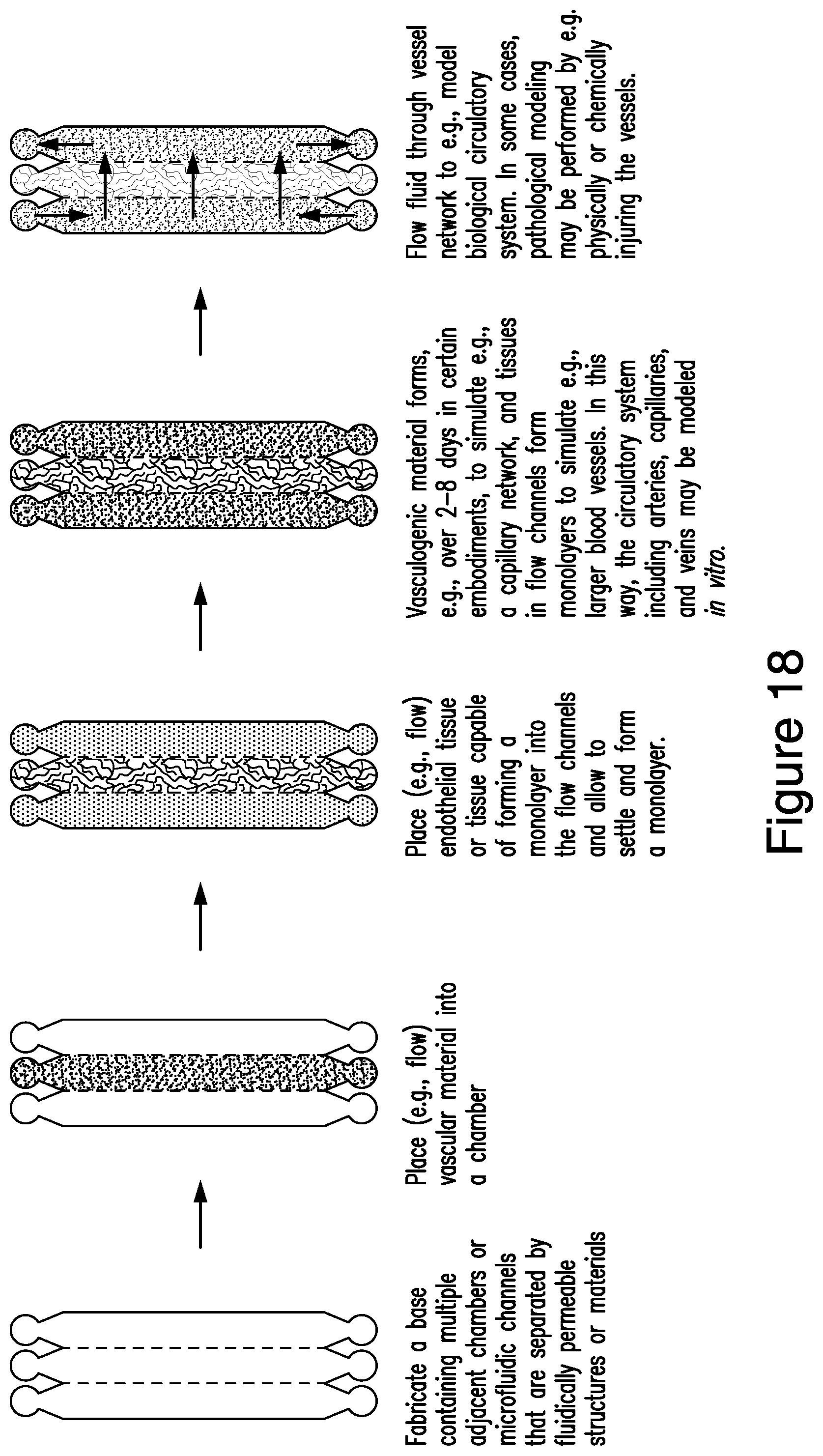 Patent US12448607 Figure 18 – Systems and methods for multilane vasculature