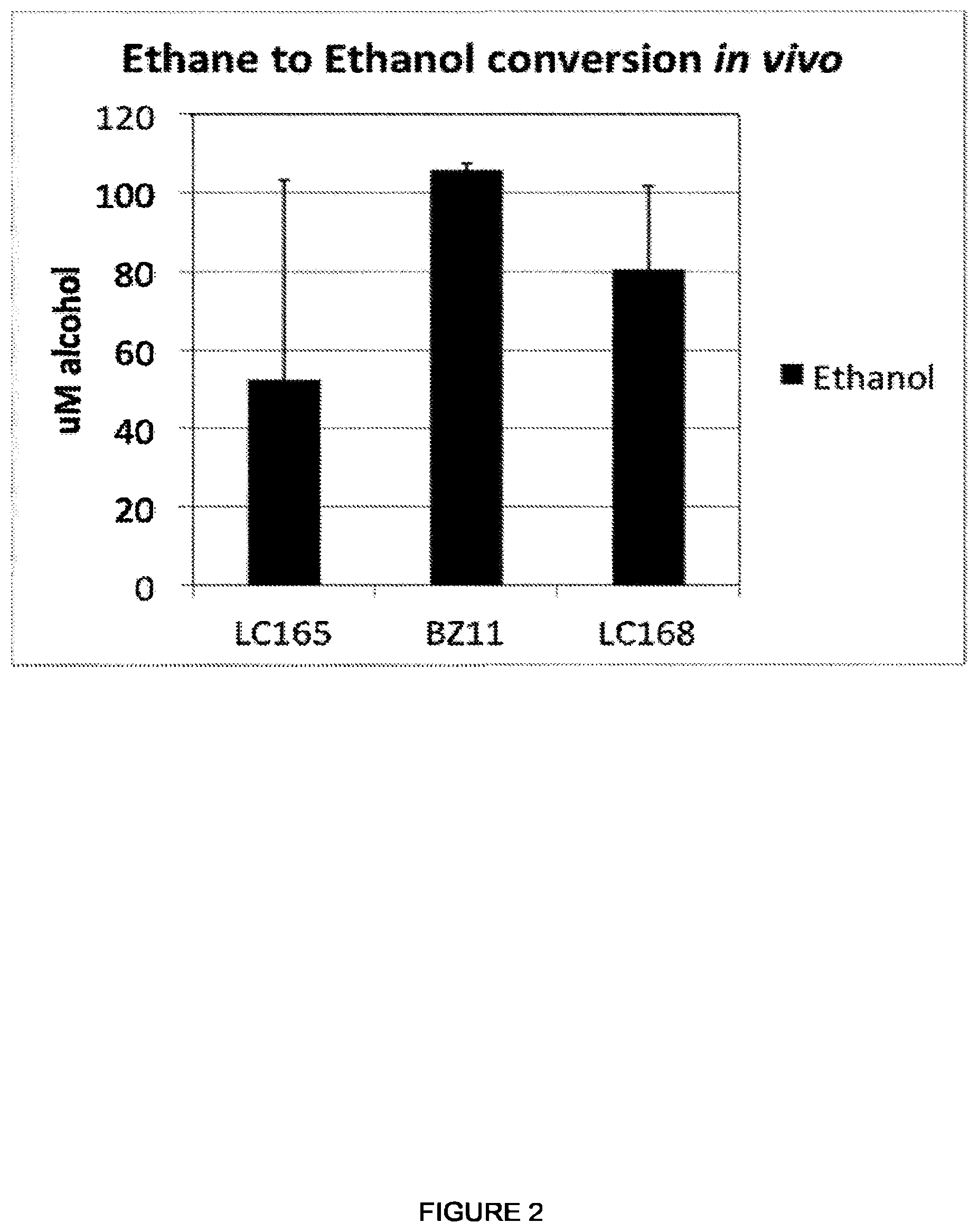 Patent US12448609 Figure 2 – Heterologous expression of short-chain monooxygenases in microorganisms