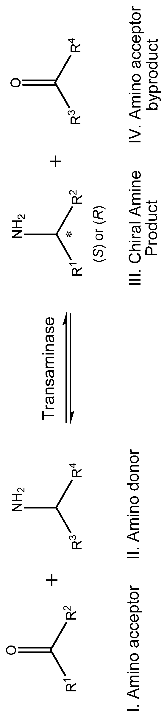 Patent US12448611 Figure 1 – Transaminase polypeptides