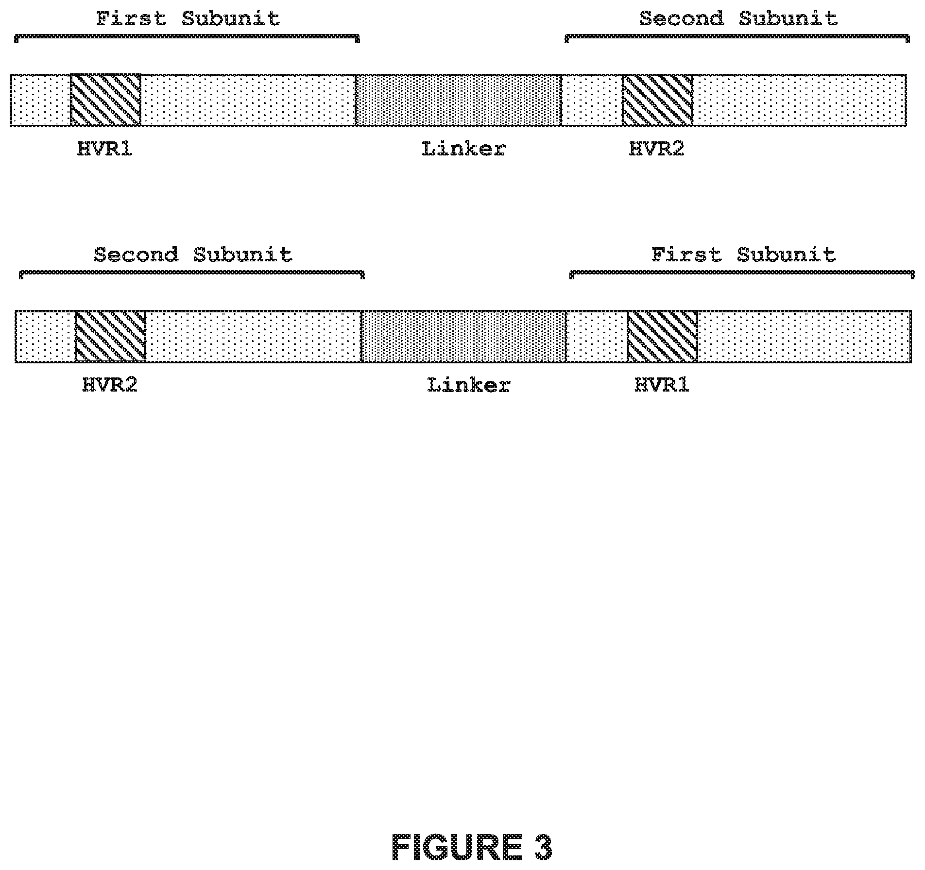 Patent US12448613 Figure 3 – Genetically-modified T cells comprising a modified intron in the T cell receptor alpha gene