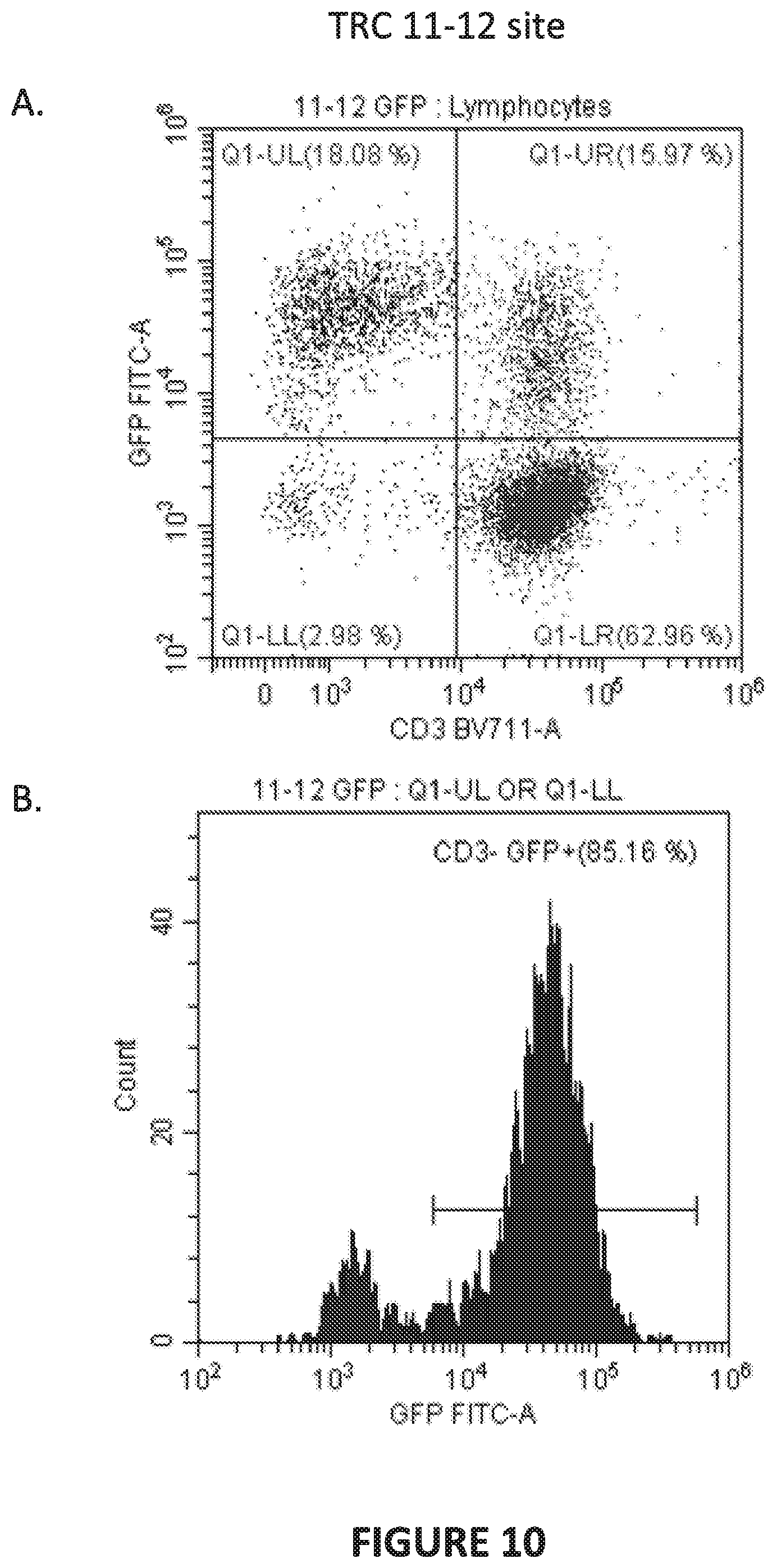Patent US12448613 Figure 20 – Genetically-modified T cells comprising a modified intron in the T cell receptor alpha gene