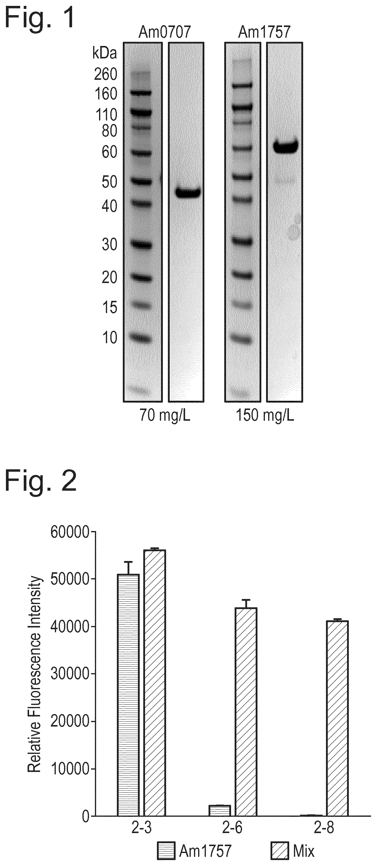 Patent US12448614 Figure 1 – Enzymes for glycan analysis