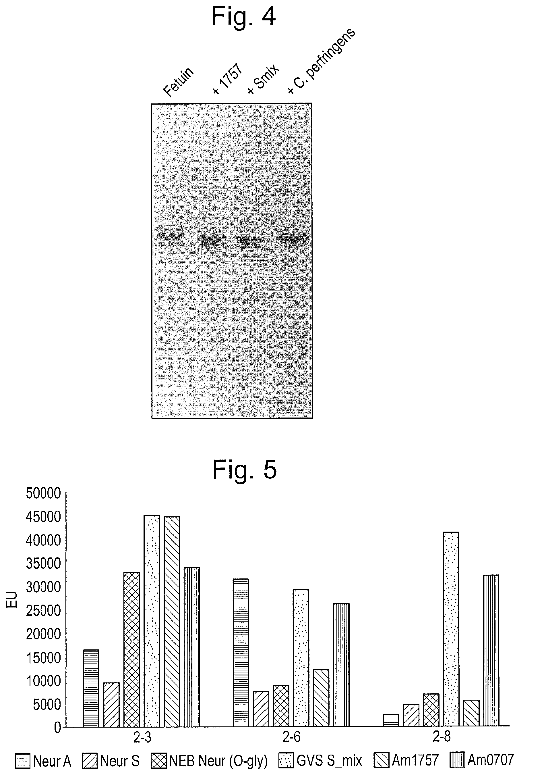 Patent US12448614 Figure 3 – Enzymes for glycan analysis