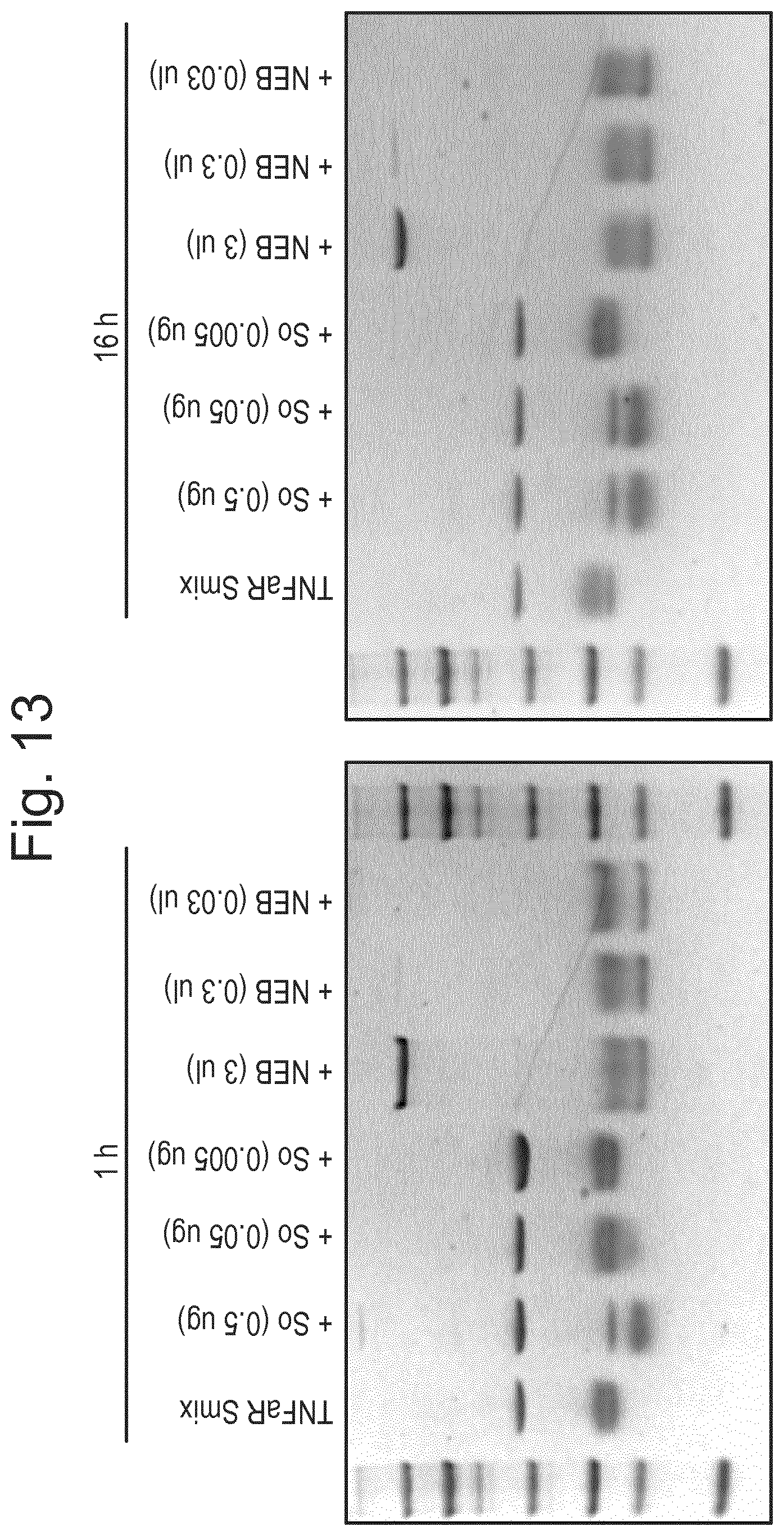Patent US12448614 Figure 11 – Enzymes for glycan analysis