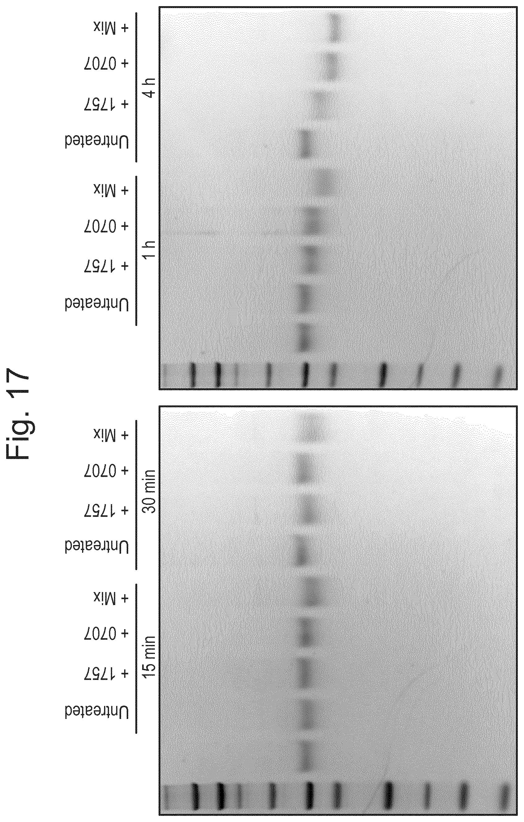 Patent US12448614 Figure 15 – Enzymes for glycan analysis