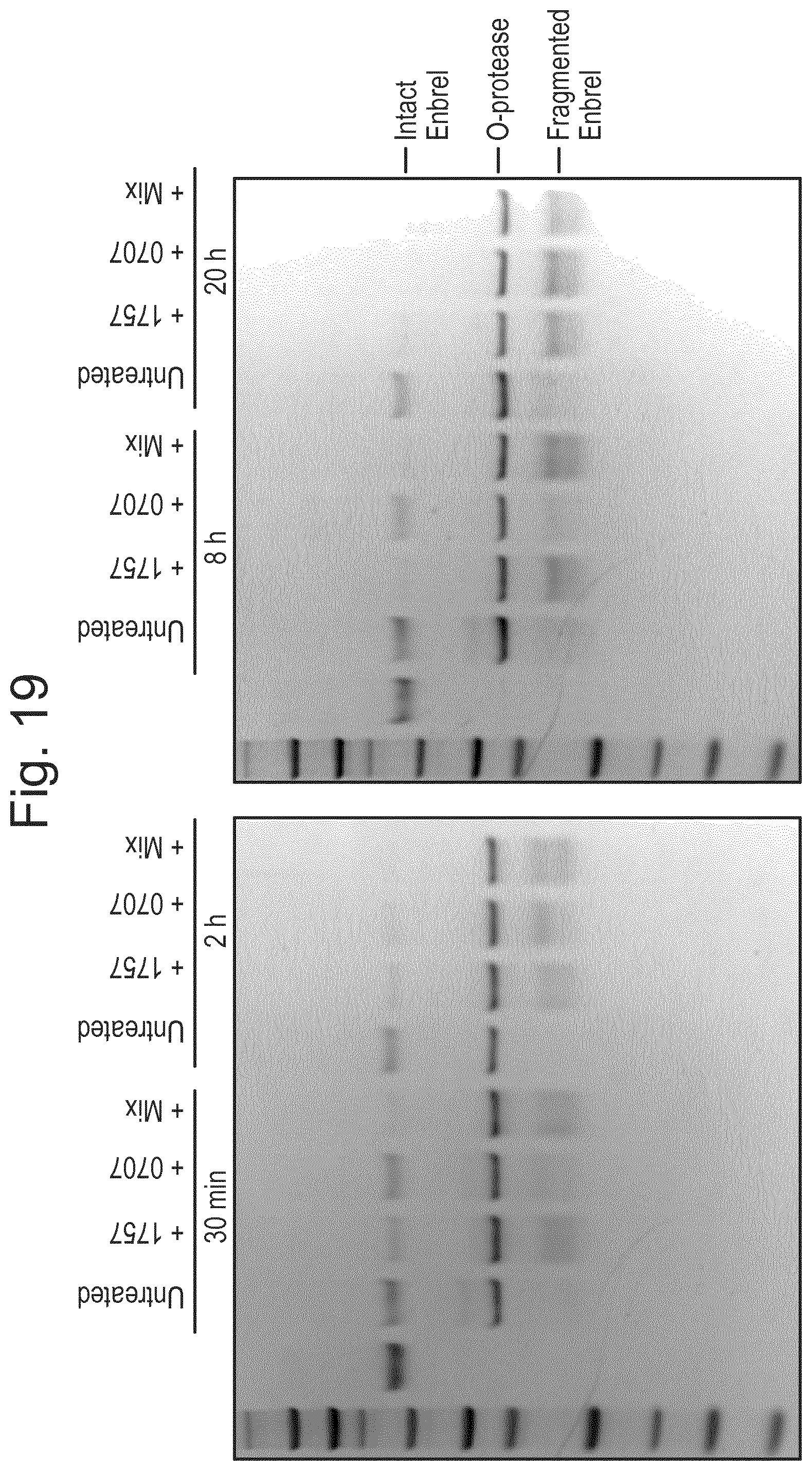 Patent US12448614 Figure 17 – Enzymes for glycan analysis