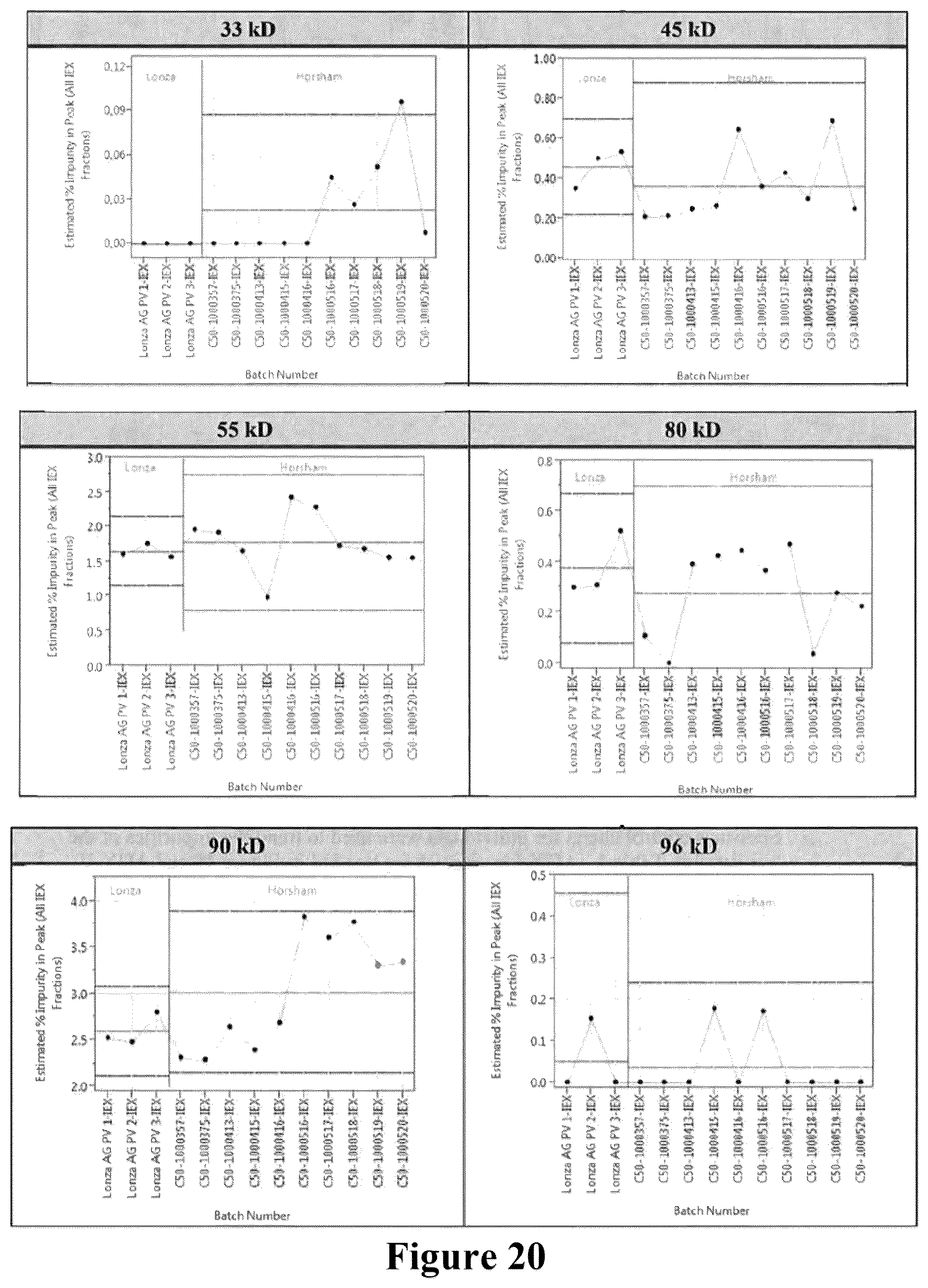 Patent US12448615 Figure 19 – Method of purifying and isolating collagenase