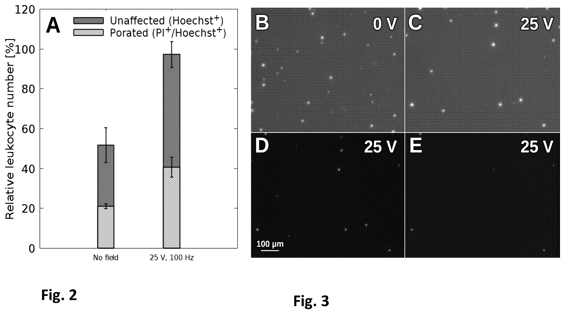 Patent US12448617 Figure 2 – Specific electroporation and lysis of eukaryotic cells