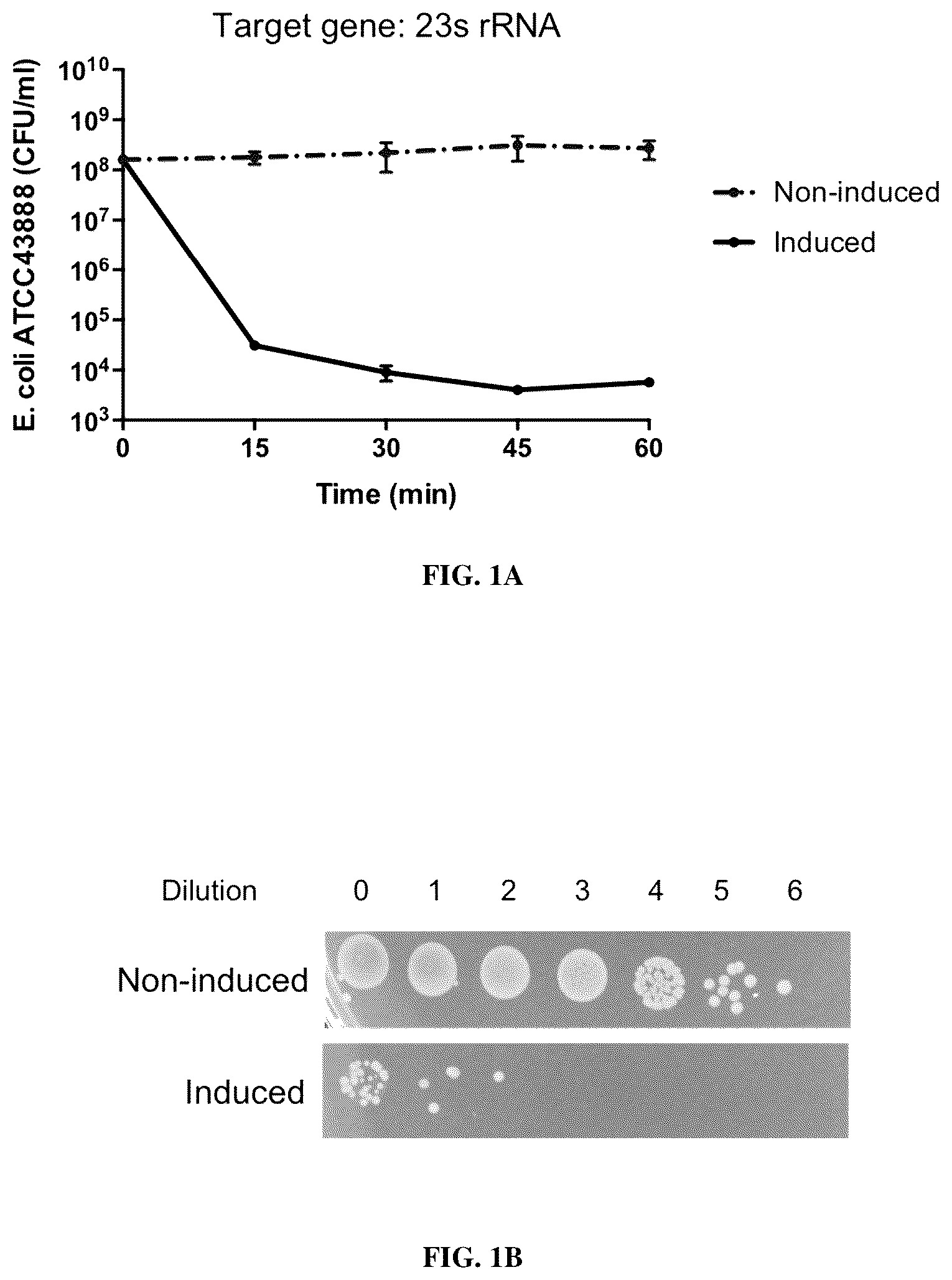 Patent US12448619 Figure 1 – Treating and preventing microbial infections