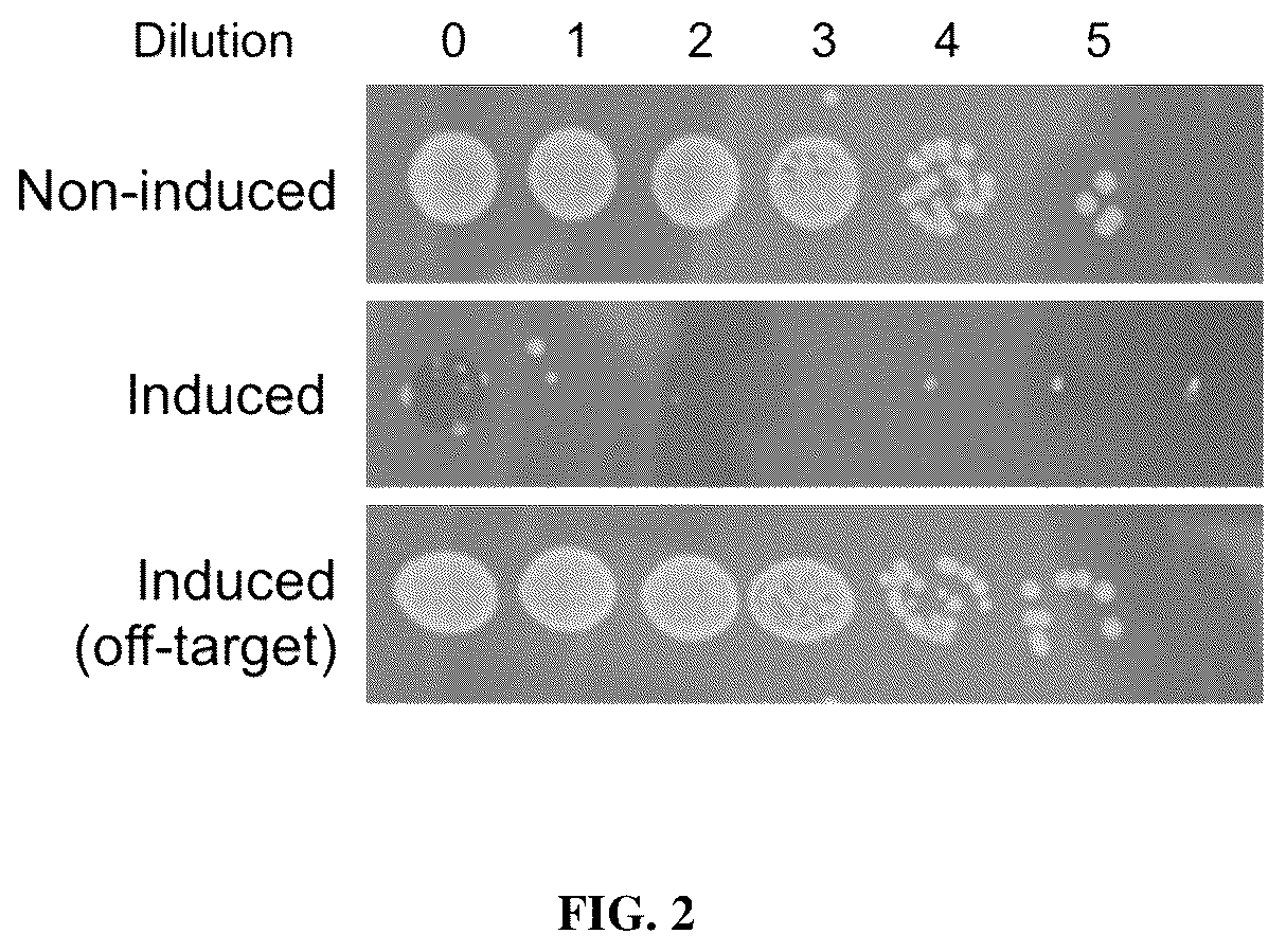 Patent US12448619 Figure 2 – Treating and preventing microbial infections