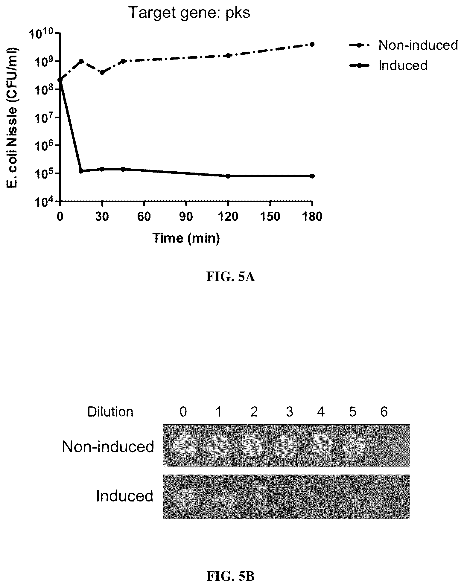 Patent US12448619 Figure 5 – Treating and preventing microbial infections