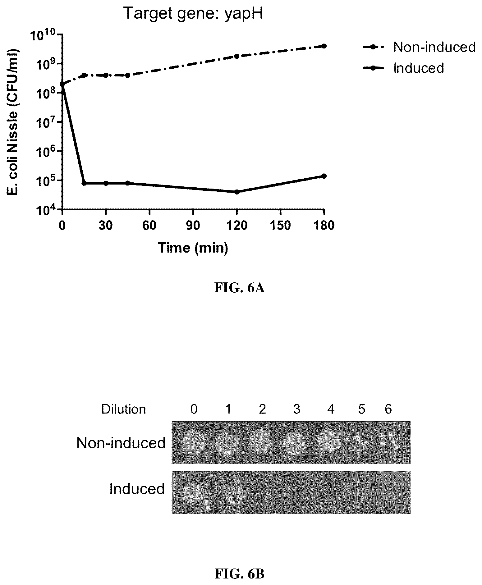 Patent US12448619 Figure 6 – Treating and preventing microbial infections