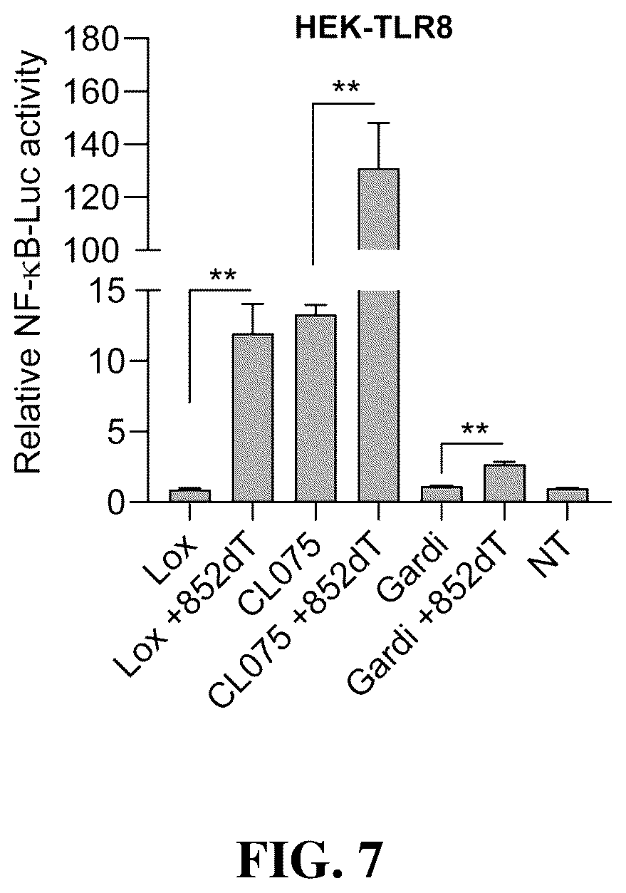 Patent US12448622 Figure 10 – Oligonucleotides