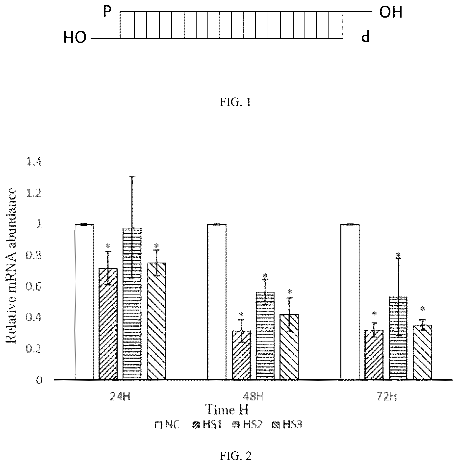Patent US12448623 — siRNA specifically binding to M2 macrophage CD206 and application thereof — Figure 1