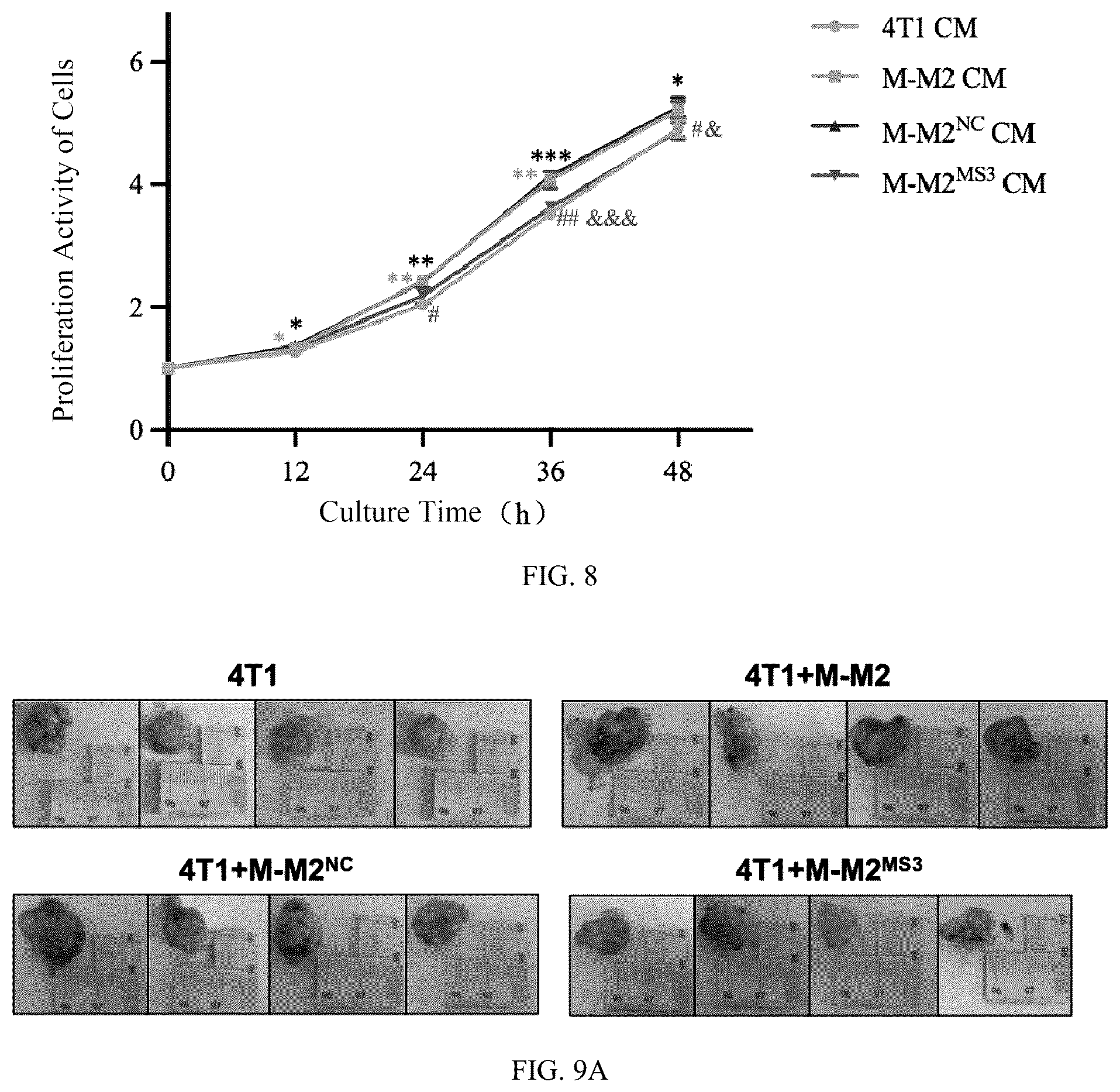 Patent US12448623 Figure 6 – siRNA specifically binding to M2 macrophage CD206 and application thereof
