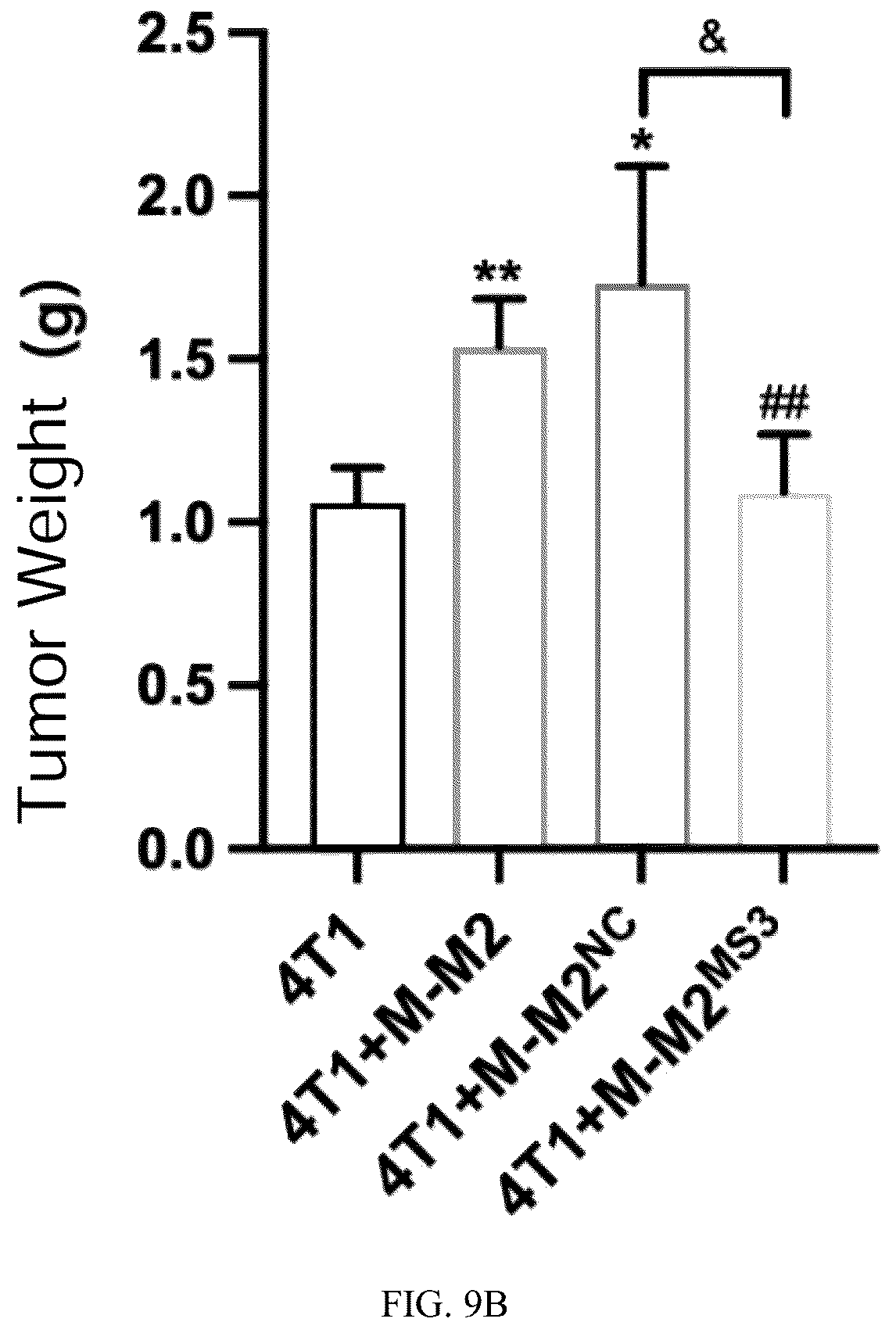 Patent US12448623 Figure 7 – siRNA specifically binding to M2 macrophage CD206 and application thereof