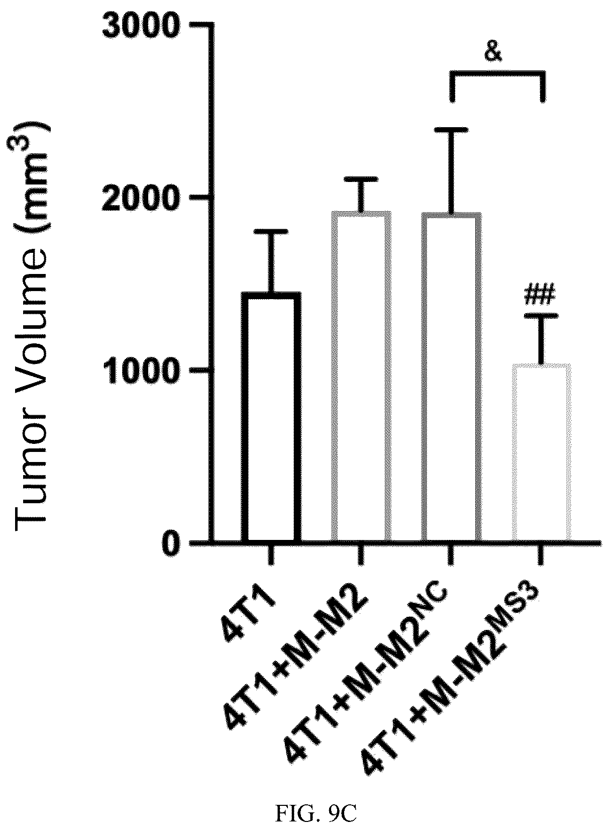 Patent US12448623 Figure 8 – siRNA specifically binding to M2 macrophage CD206 and application thereof