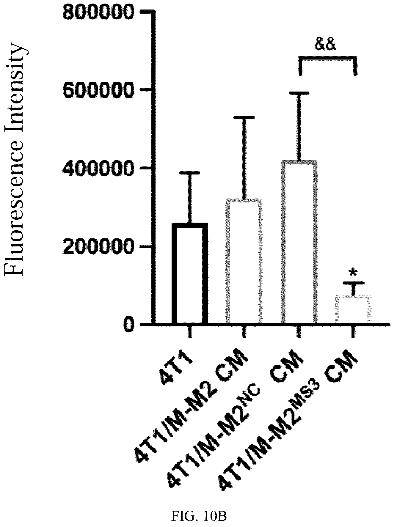 Patent US12448623 Figure 10 – siRNA specifically binding to M2 macrophage CD206 and application thereof