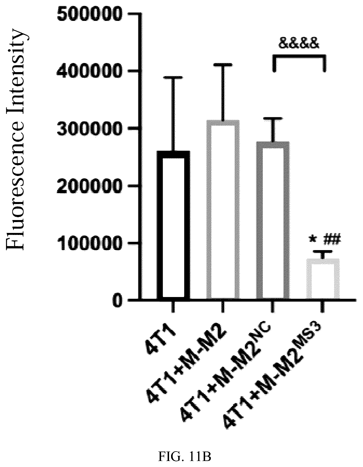 Patent US12448623 Figure 12 – siRNA specifically binding to M2 macrophage CD206 and application thereof