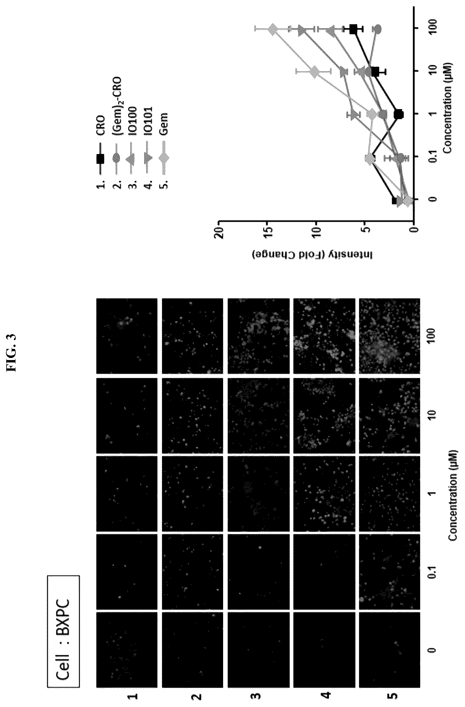Patent US12448624 Figure 3 – Modified nucleic acid having improved treatment efficacy, and anticancer pharmaceutical composition containing same