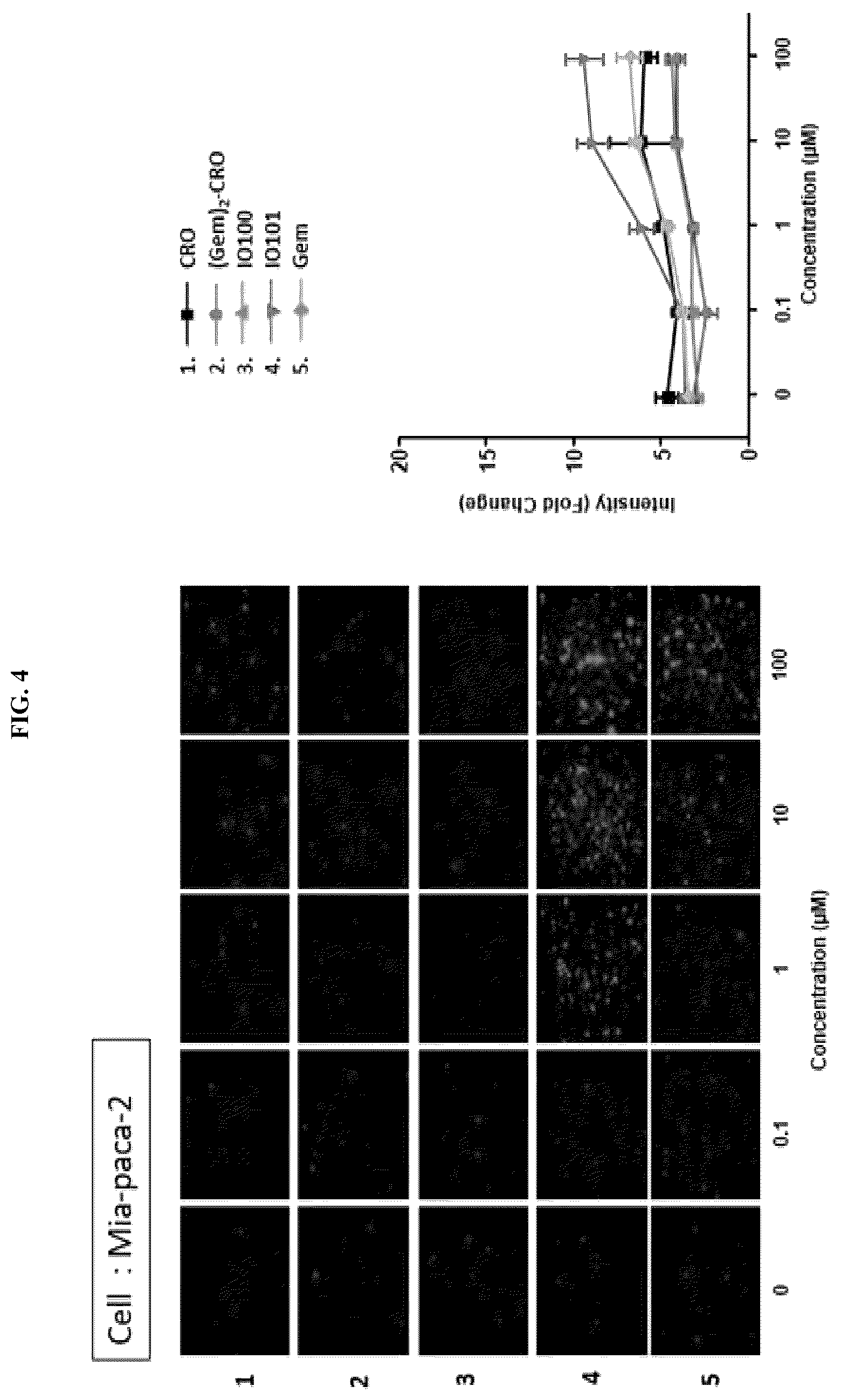 Patent US12448624 Figure 4 – Modified nucleic acid having improved treatment efficacy, and anticancer pharmaceutical composition containing same