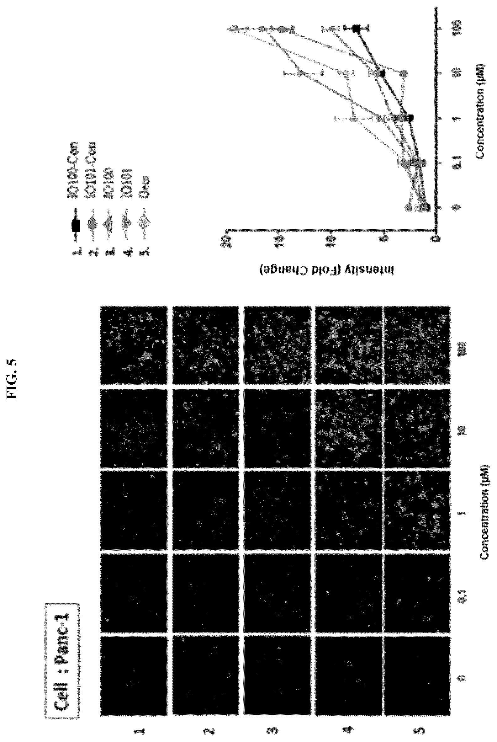 Patent US12448624 Figure 5 – Modified nucleic acid having improved treatment efficacy, and anticancer pharmaceutical composition containing same
