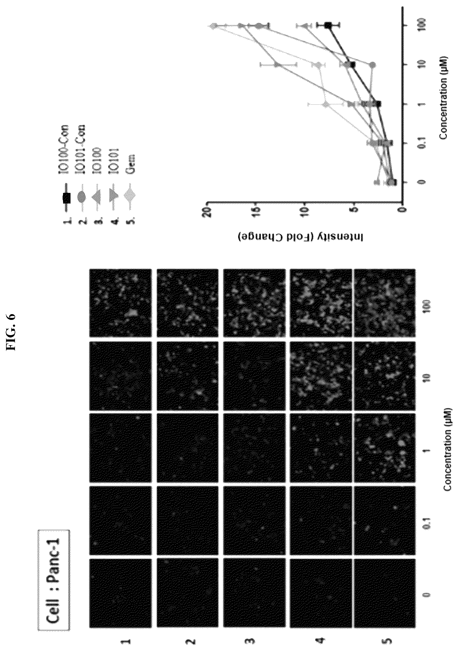 Patent US12448624 Figure 6 – Modified nucleic acid having improved treatment efficacy, and anticancer pharmaceutical composition containing same