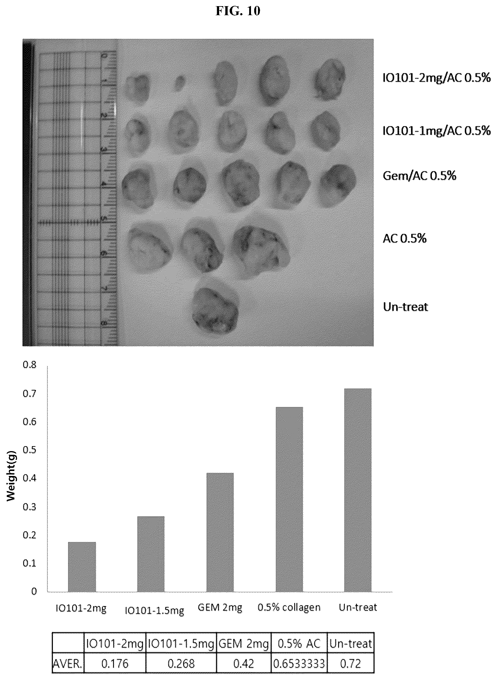 Patent US12448624 Figure 10 – Modified nucleic acid having improved treatment efficacy, and anticancer pharmaceutical composition containing same
