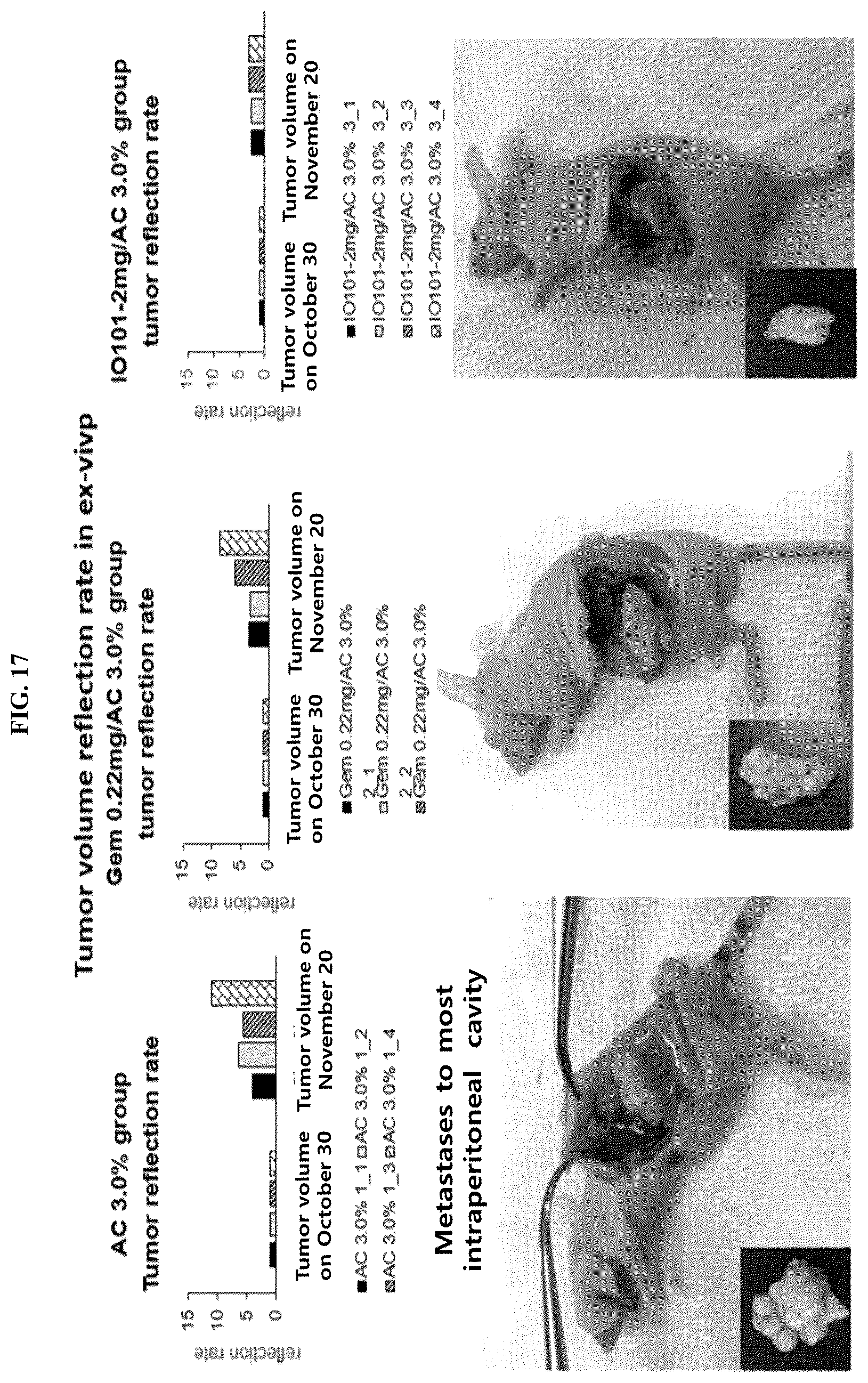 Patent US12448624 Figure 17 – Modified nucleic acid having improved treatment efficacy, and anticancer pharmaceutical composition containing same