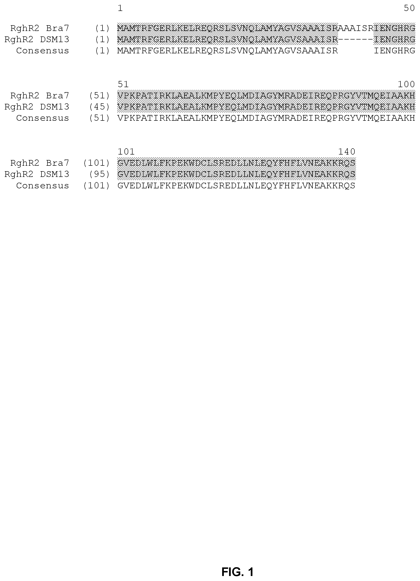 Patent US12448626 Figure 1 – Compositions and methods for increased protein production in Bacillus licheniformis
