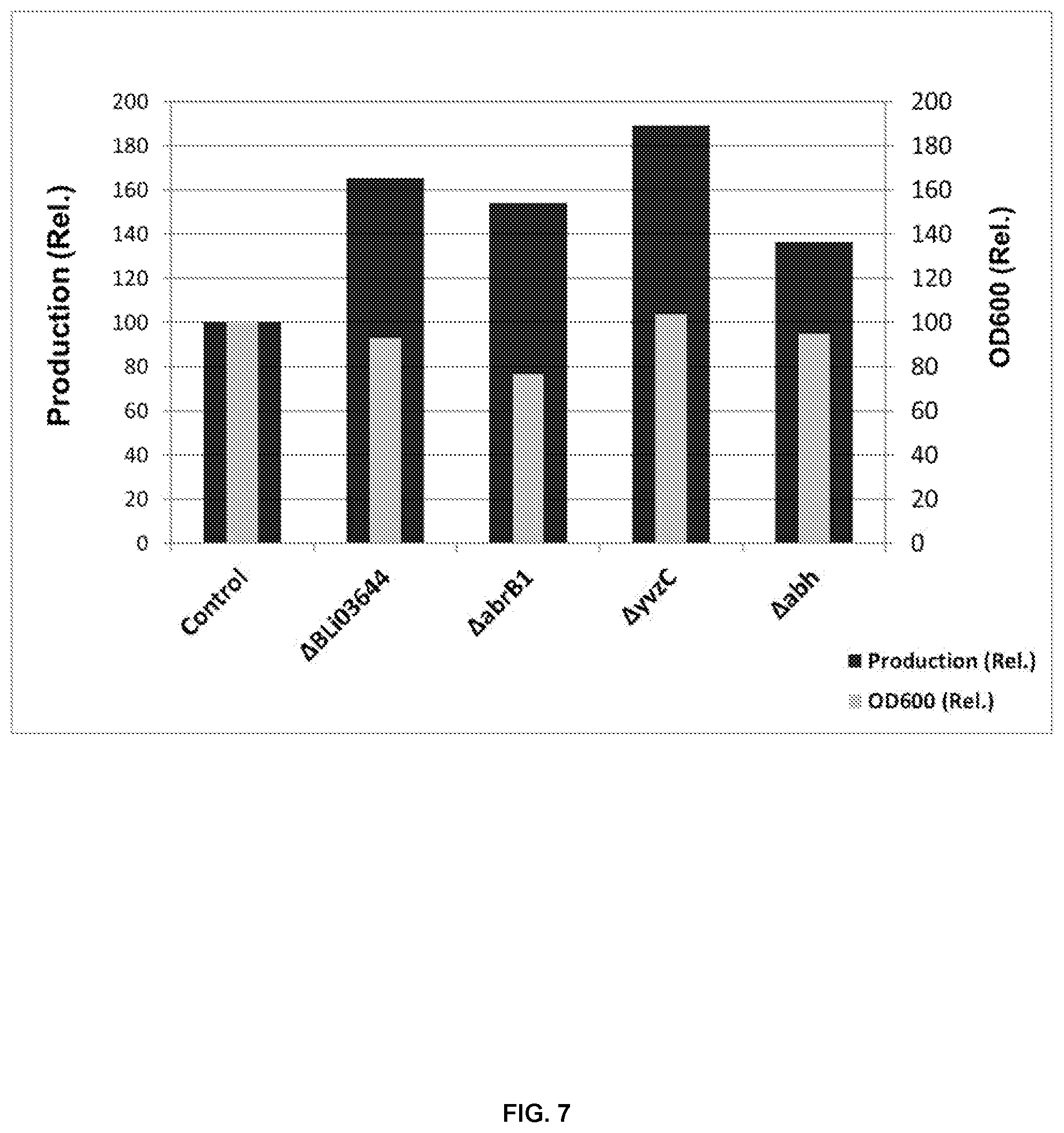Patent US12448626 Figure 7 – Compositions and methods for increased protein production in Bacillus licheniformis