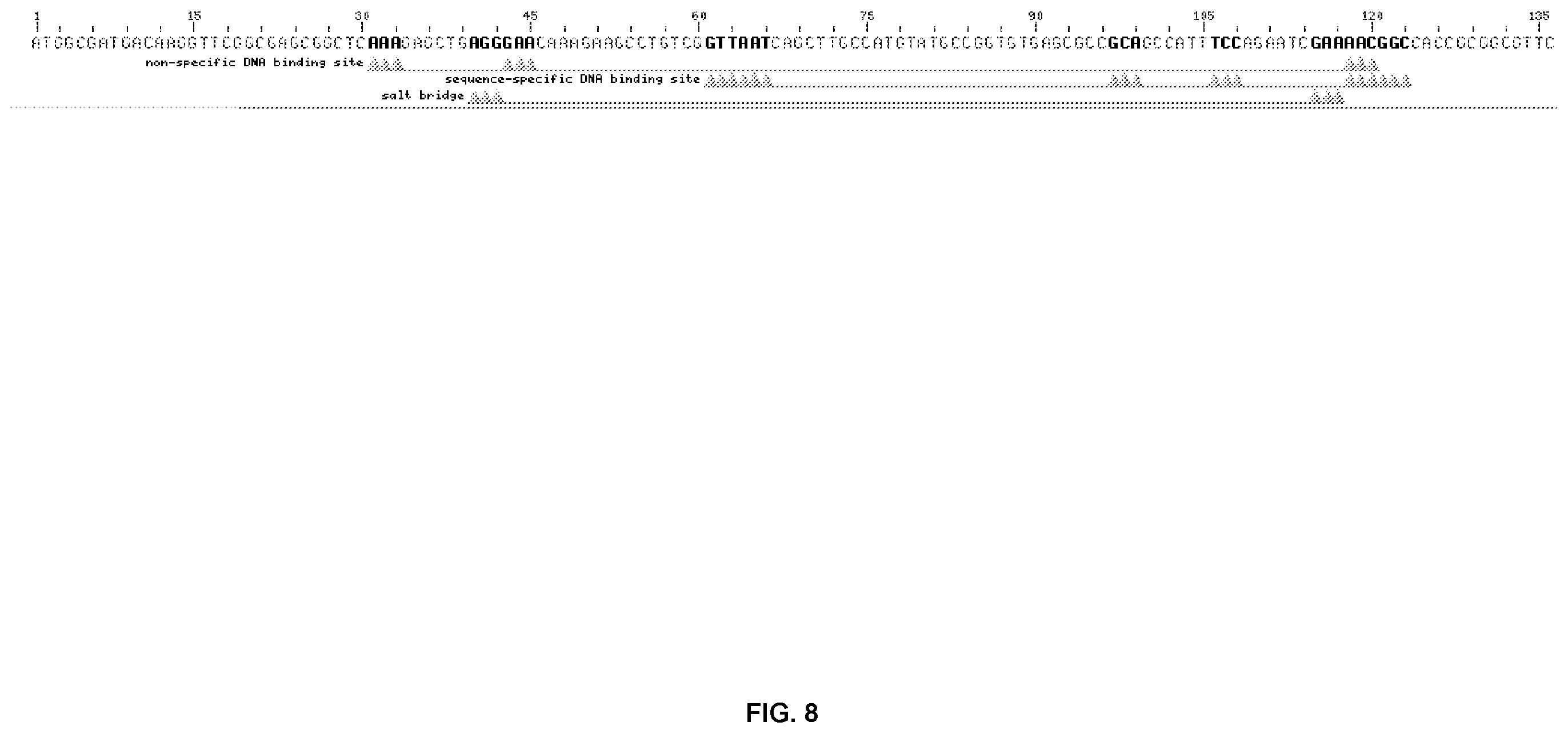 Patent US12448626 Figure 8 – Compositions and methods for increased protein production in Bacillus licheniformis